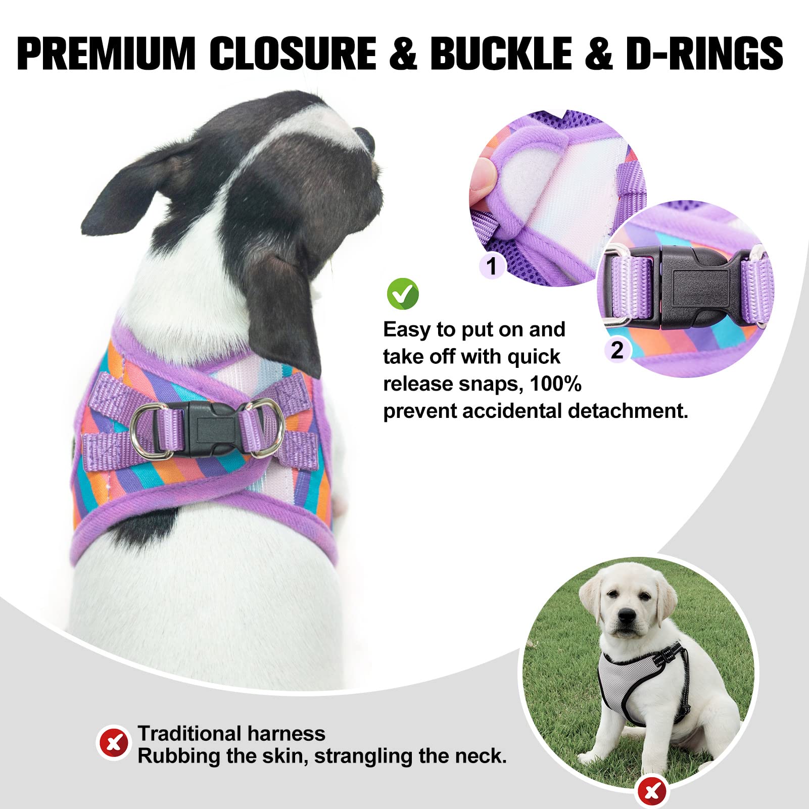 Beautyzoo Dog Harness And Leash Set For Small Dogs,No Pull Step-In Harness For Puppy Xs S Sized Dogs And Cats,Air Mesh Adjustabl