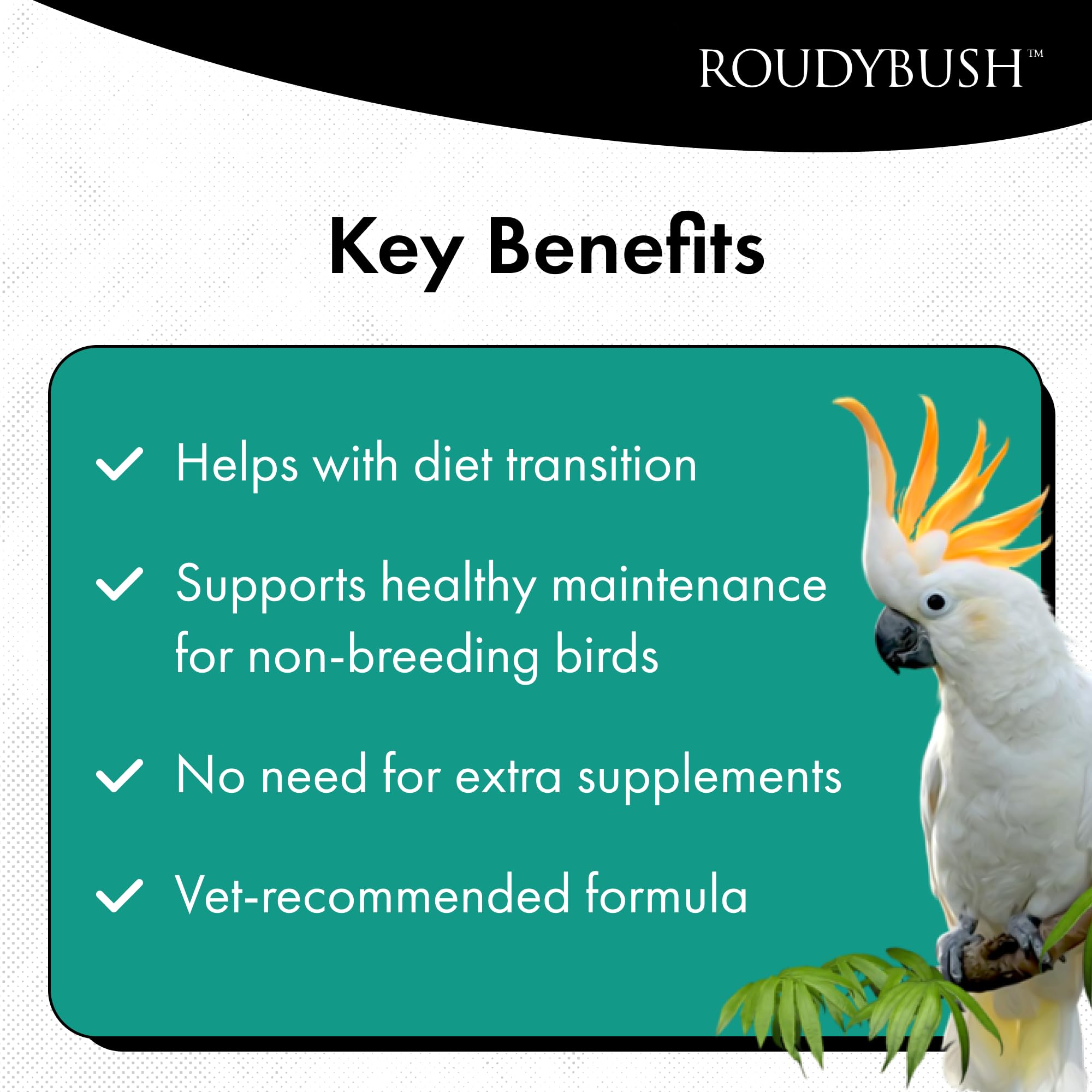 Roudybush Daily Maintenance Bird Food, Small, 25-Pound (225SMDM)