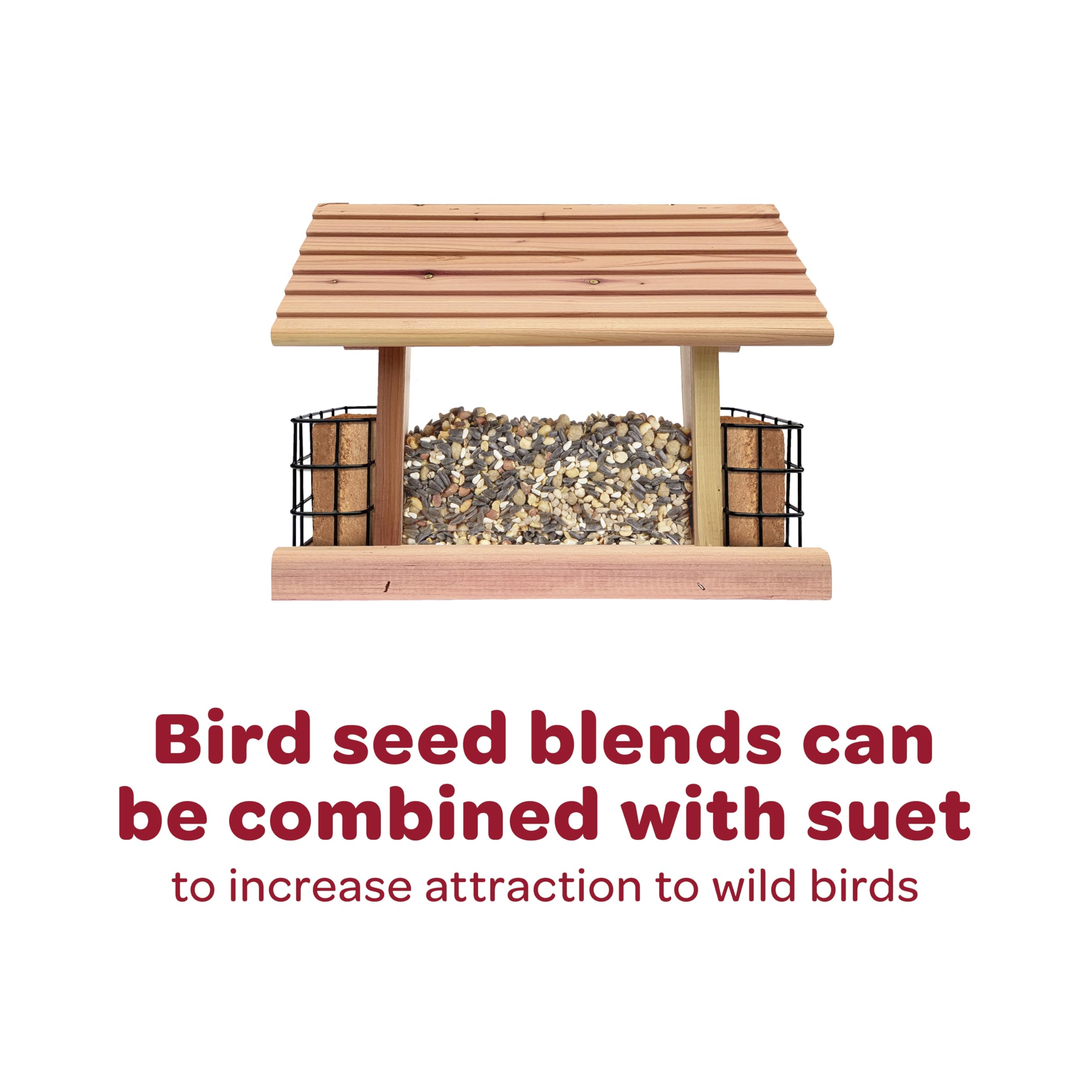 Kaytee Striped Sunflower Wild Bird Food 5 Pounds