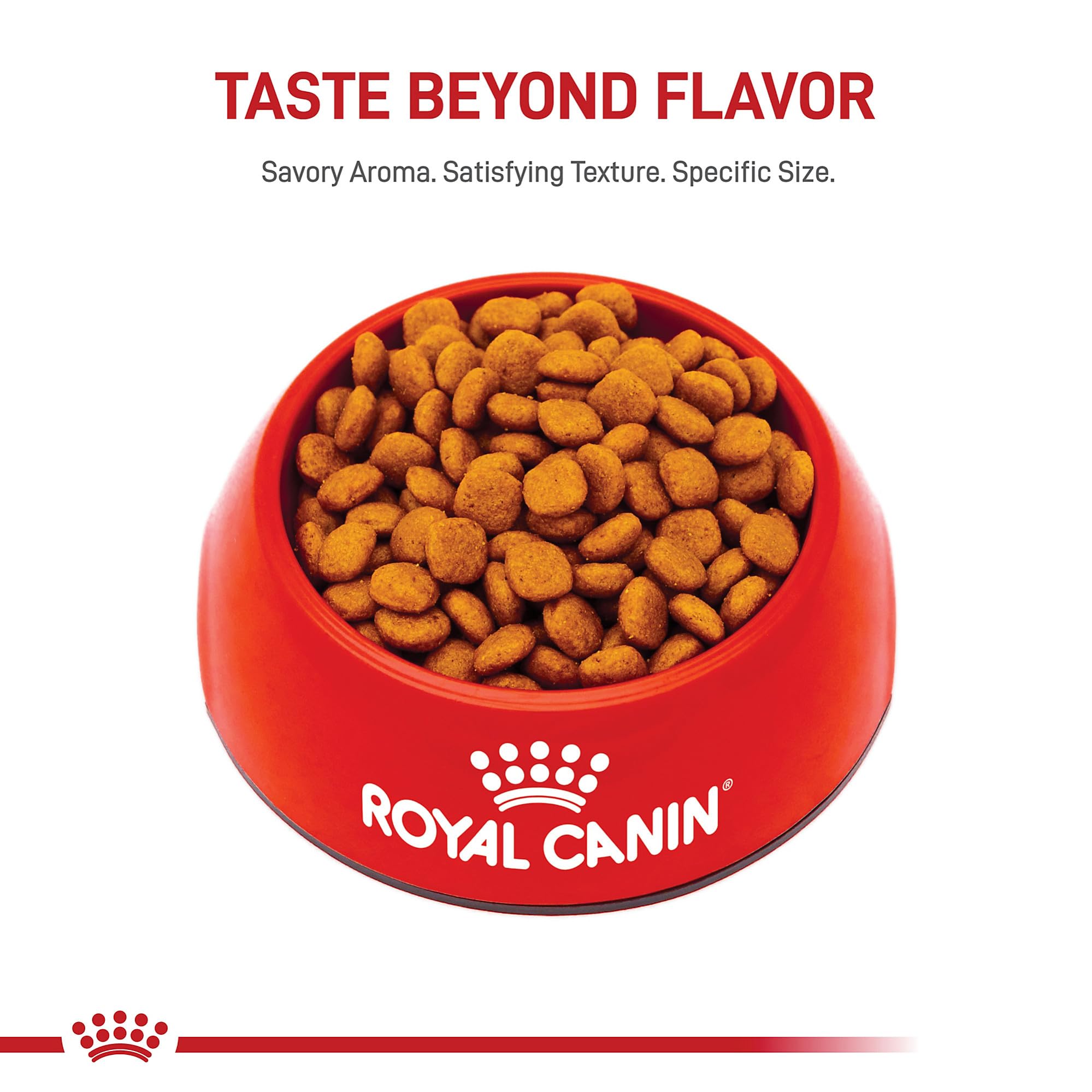 Royal Canin Cavalier King Charles Spaniel Adult Breed Specific Dry Dog Food, 10 lb bag