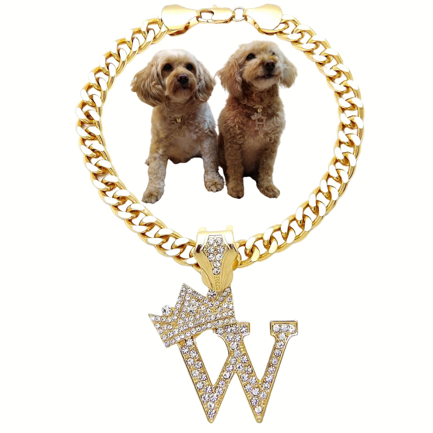 Ba Unique Fashion Initial Letter Cuban Chain Dog Chain Pet Chain Pet, Cat, Puppy Necklace (W, 10'')