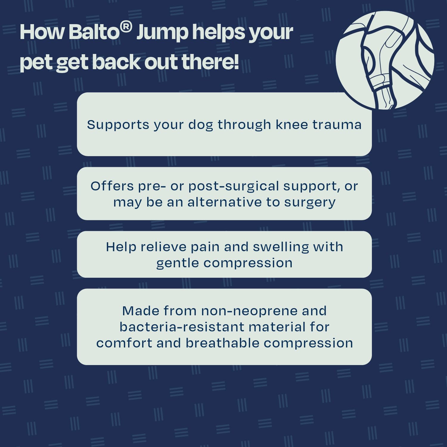 Balto Jump CCL Brace - Dog Knee Brace with Aluminum Splints - Pre/Post Surgery Support Helps Prevent New Injuries - Right Leg, M