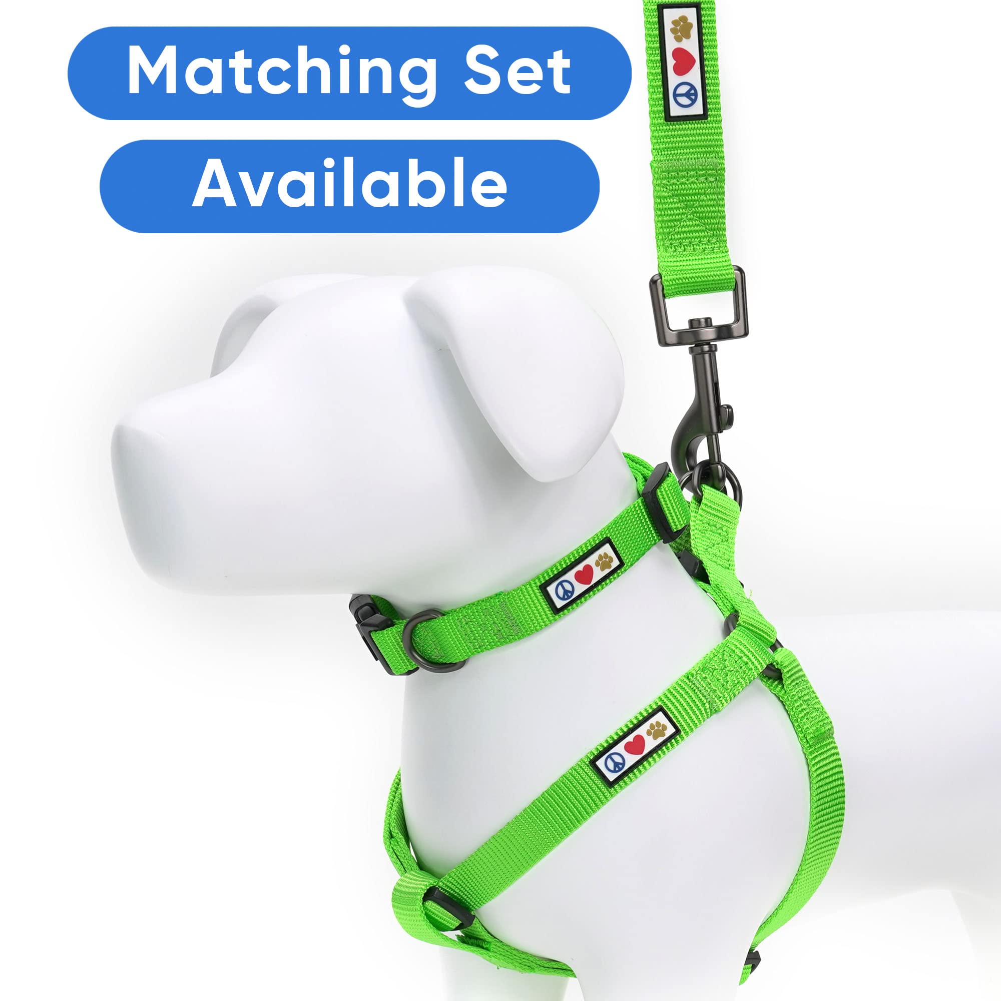 Pawtitas Dog Collar For Small Dogs Training Puppy Collar With Solid - S - Green
