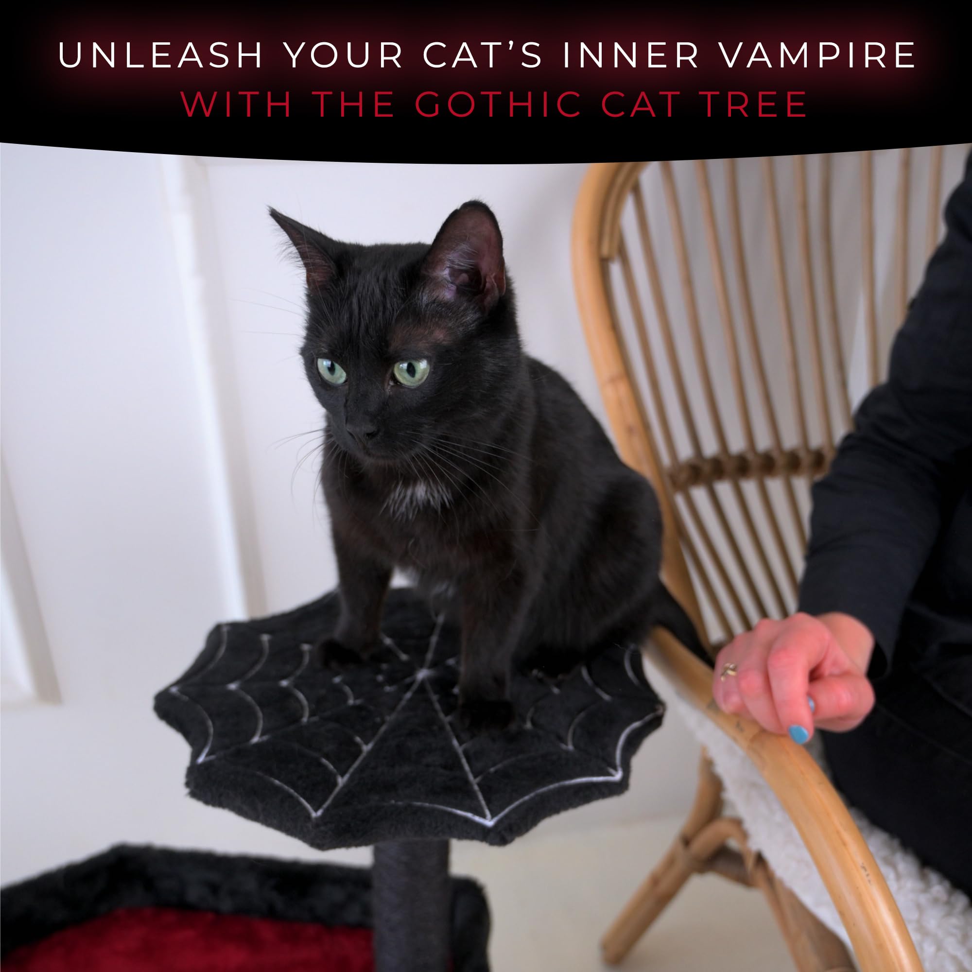 Gothic Cat Tree With Coffin Cat Bed, Gothic Cat Tower, Coffin Cat Tree With Sisal Scratching Posts For Halloween Cat, Small Size, Black With Red Littlesy
