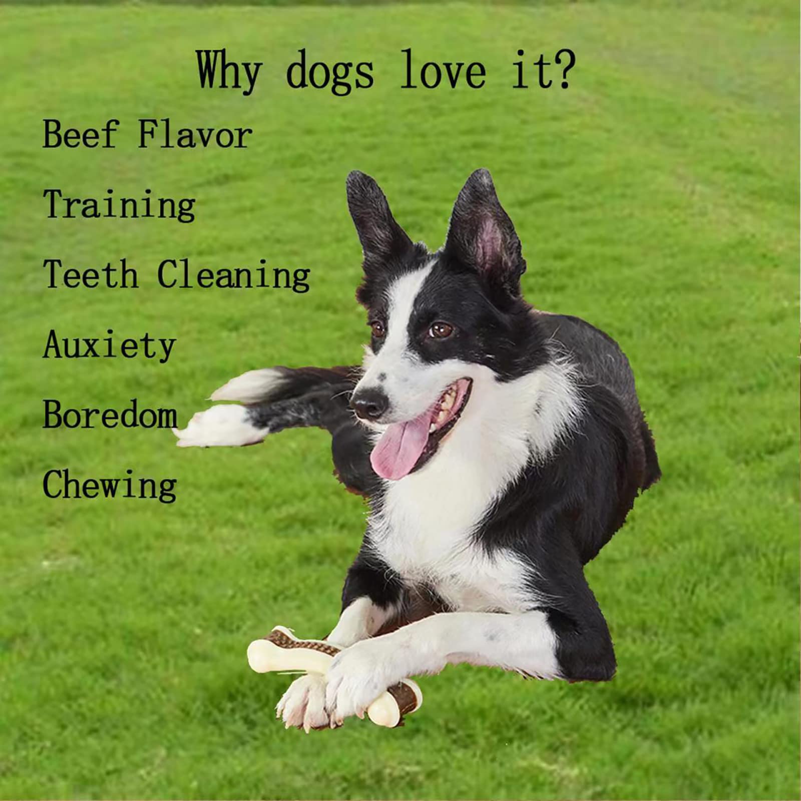 Dog Chew Toys For Aggressive Chewers, 6 Pack L Real Beef Flavor Bones,Indestructible Dog Toys For Large/Medium Breed,Pet Nylonto