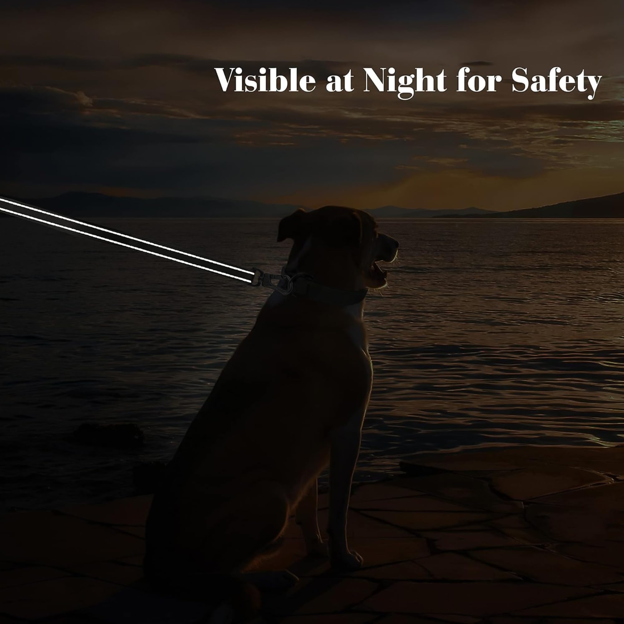 Petifine 6Ft Heavy Duty Dog Leash With Soft Padded Double Handle, Durable Strong Clasp Dog Leashes, Reflective Nylon Walking Lea