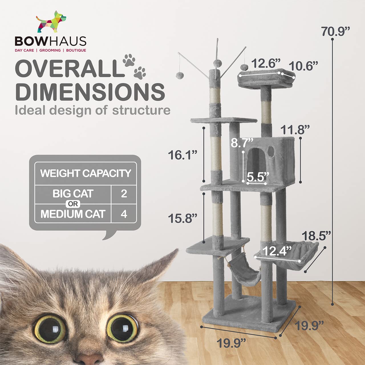 Bowhaus Tall Cat Tree For Indoor Large Cats Or Kittens, Multi-Level Cat Activity Tree With Scratching Posts, Hammock, Cat Cave Condo, Modern Cute Small Cat Climbing Tower With Widened Perch