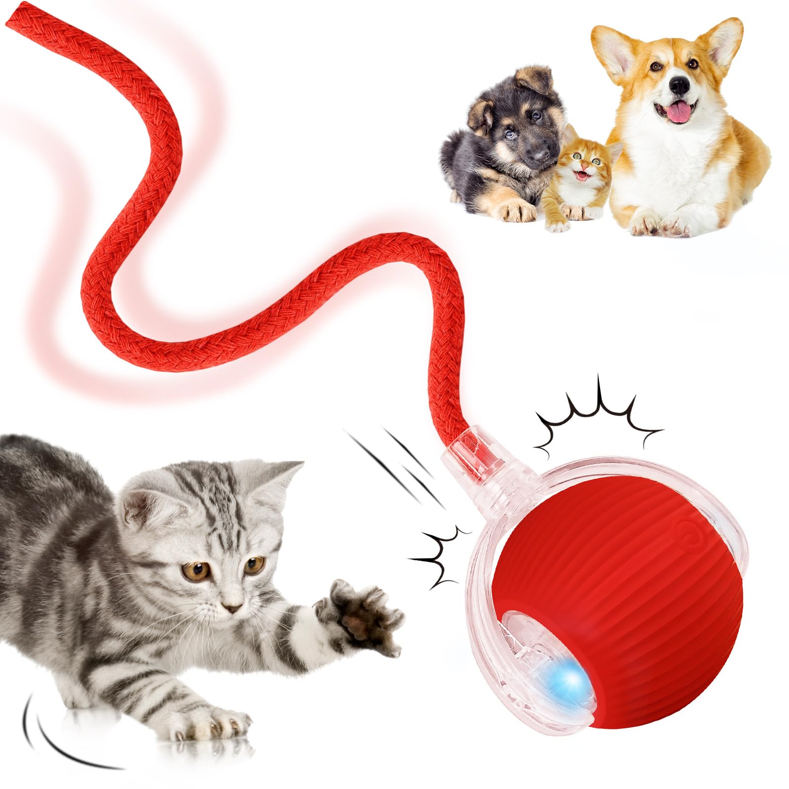 Damight Interactive Cat Toys, Electric Automatic Toys For Indoor Cats, 360 Active Rolling Smart Dog Ball, Moving Cat Toys Ball W