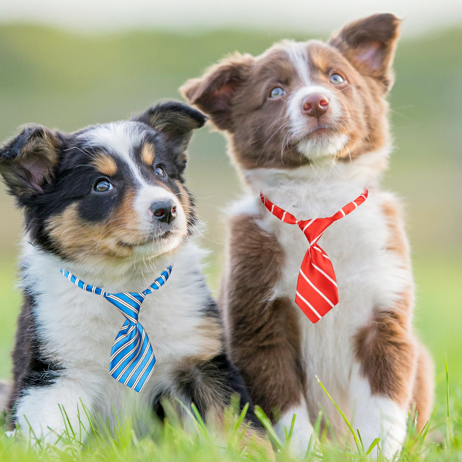 Segarty Dog Ties, 80 Pieces Dog Ties For Small Pets Adjustable Neck Ties Pet Collar Small Cat Neckties For Medium Large Puppy Gr