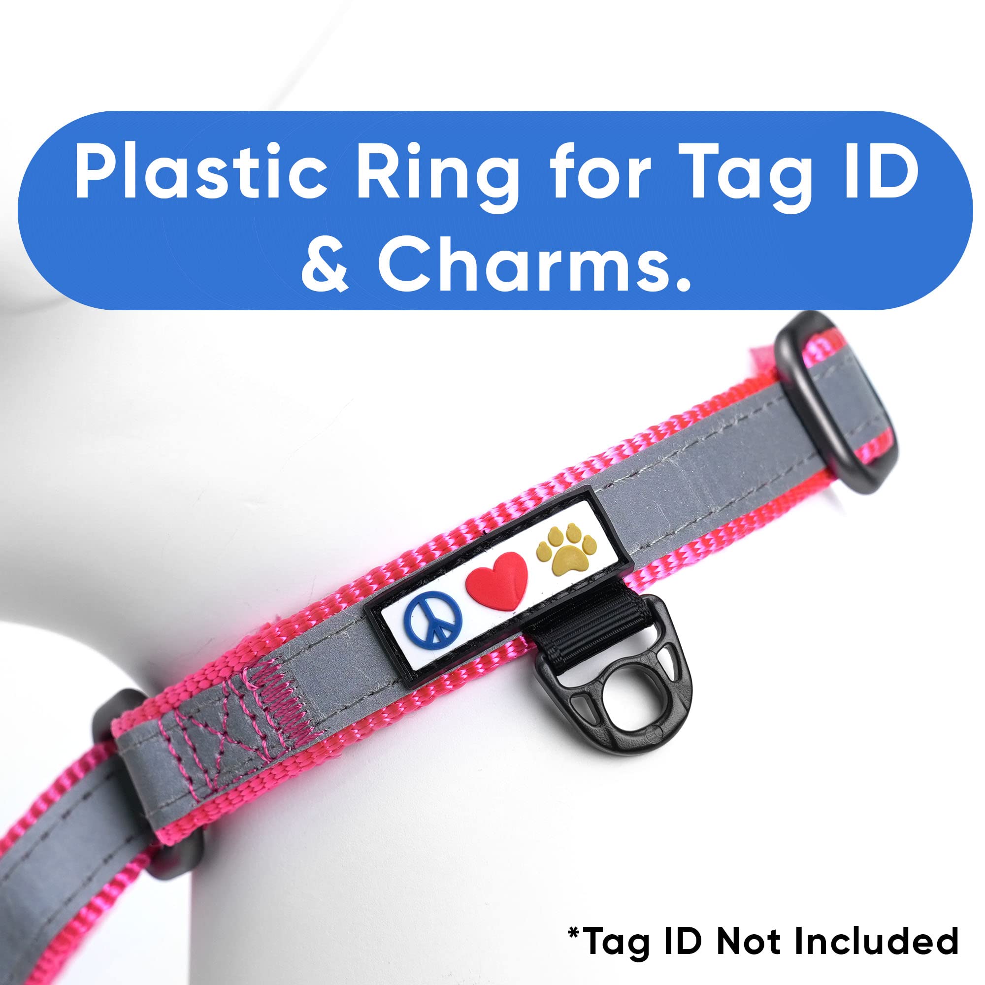 Pawtitas Personalized Dog Collar Martingale Dog Collar With Name Phone Number Reflective Martingale Dog Collar Customized Collar For Medium Dogs | Pink Custom Dog Collars For Medium Dogs