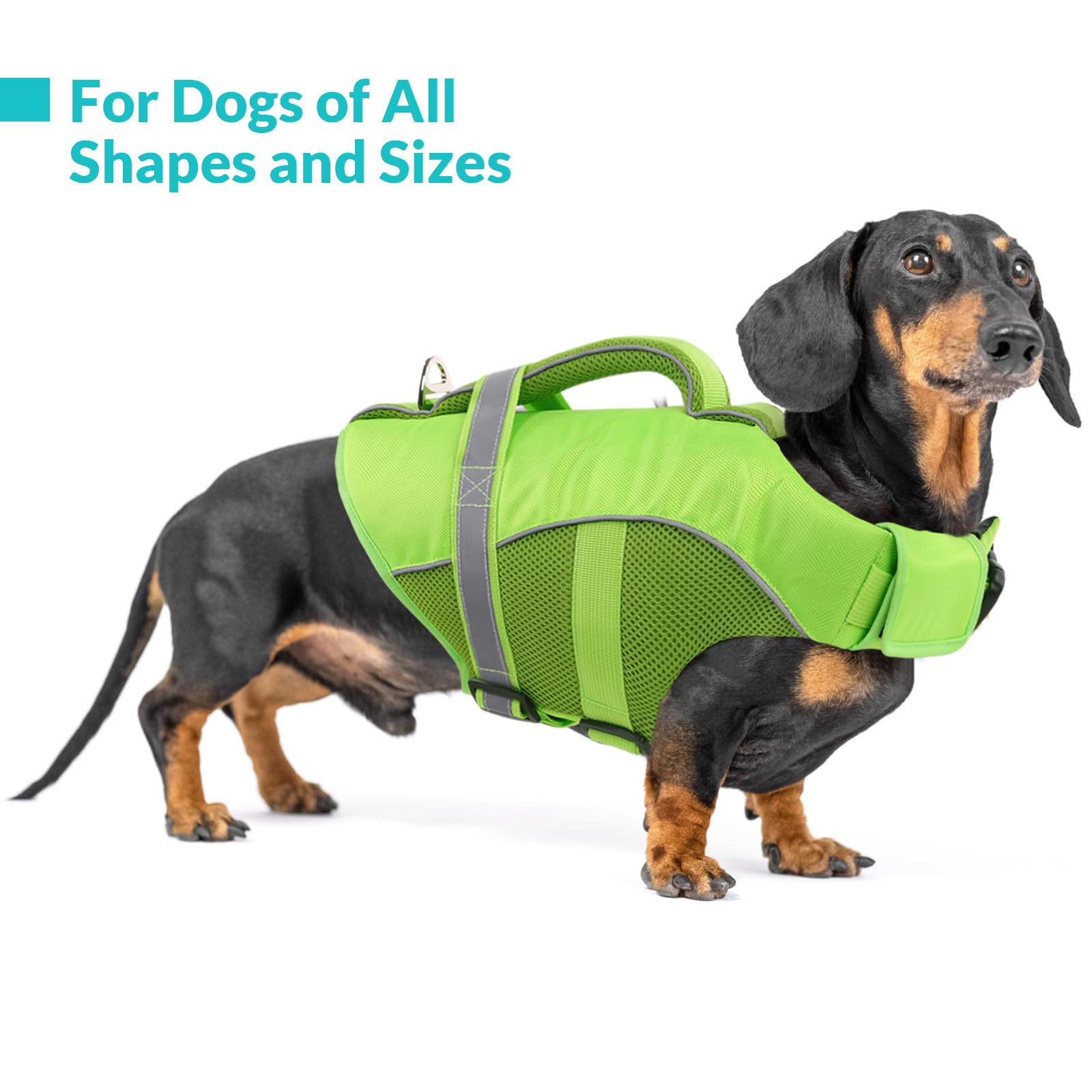 Queenmore Adjustable Ripstop Dog Life Vest For Swimming & Boating, Dog Lifesaver With Superior Buoyancy & Rescue Handle, Green,