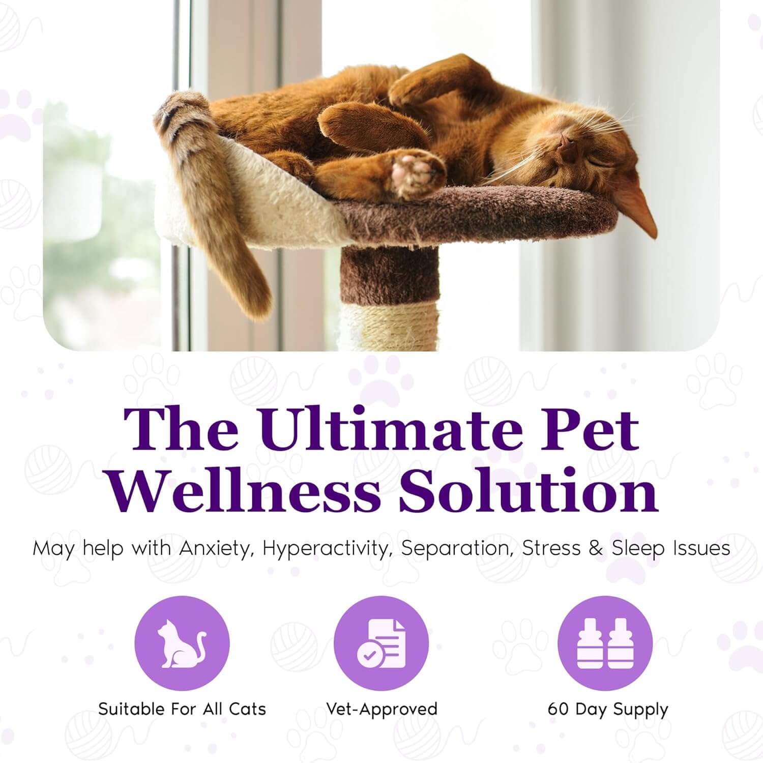 Purrfect Cat Calming Diffuser Kit with 2 Refills
