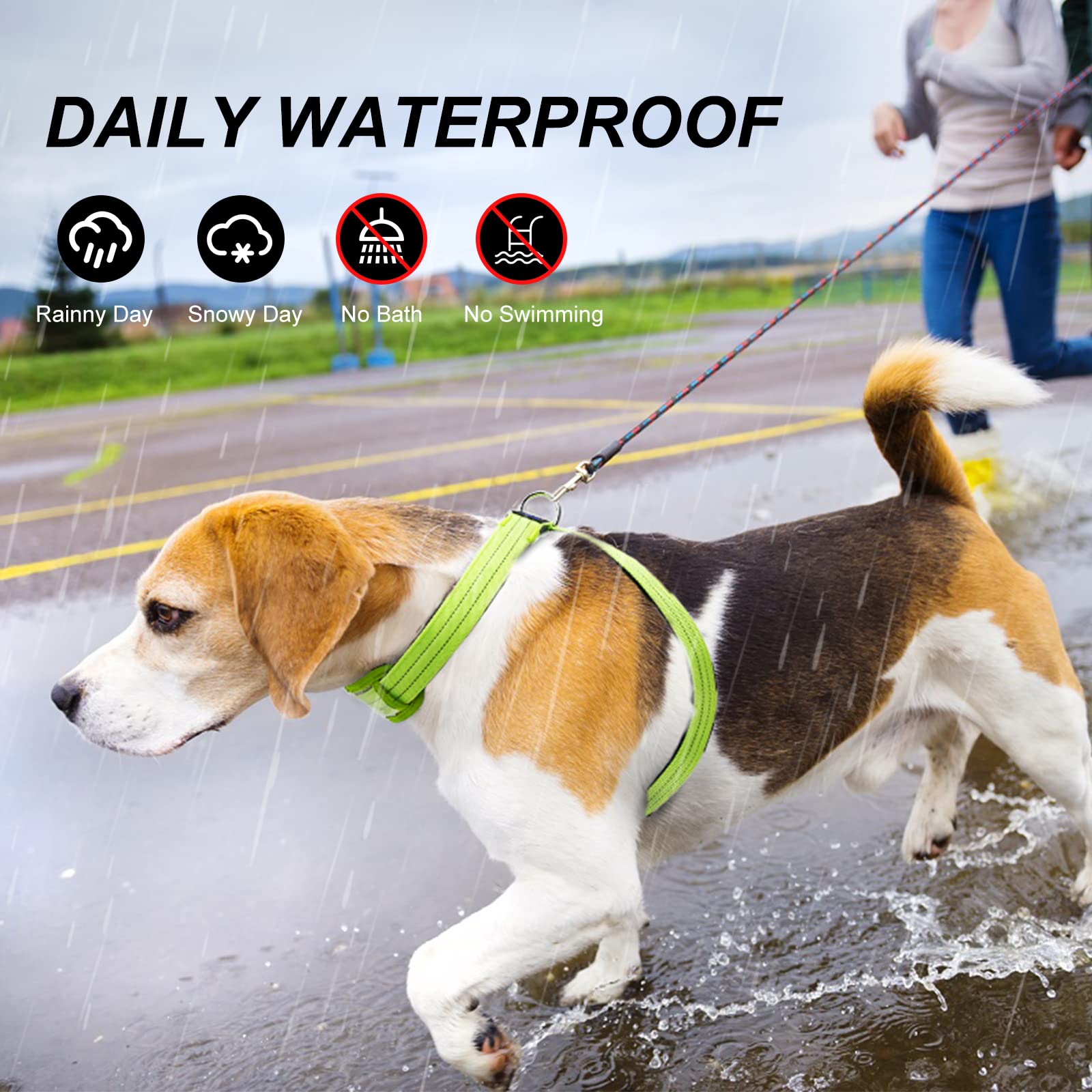 PZRLit LED Light Up Dog Harness, Rechargeable & Reflective, Medium Green, Soft Padded Nylon, Model YX09, Waterproof for Night Safety