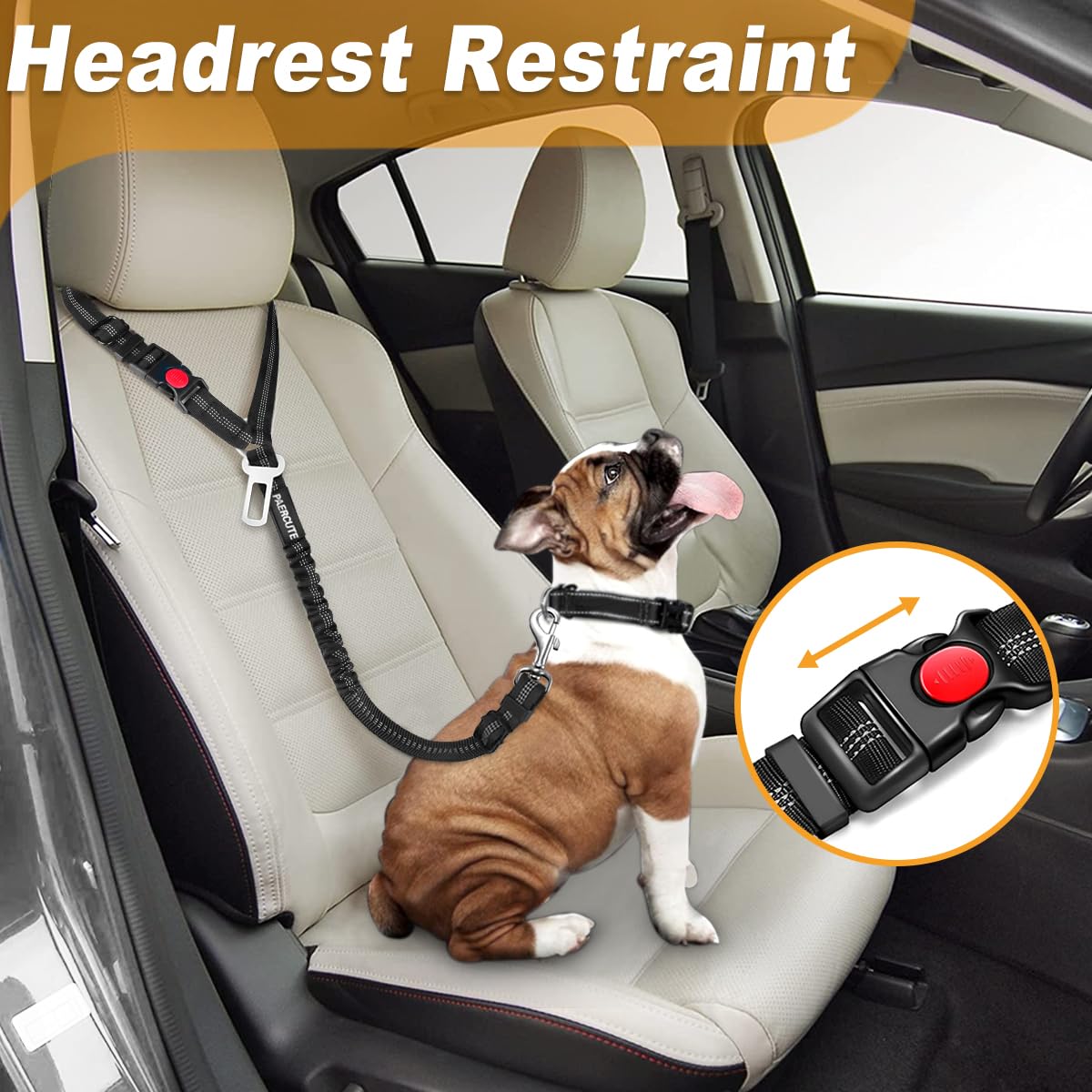 Paercute 3 Piece Dog Car Seat Belt Set, Adjustable Nylon Restraint, Universal Size, Heavy Duty, Black+Grey Blue, Model B-642