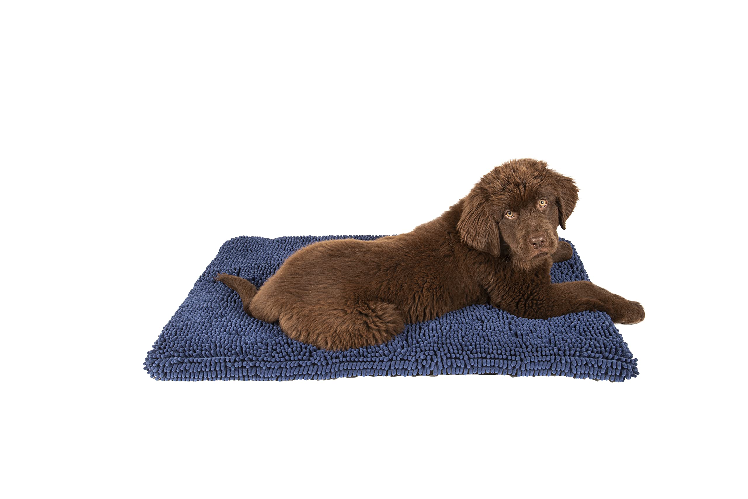 Dog Gone Smart Pet Products Dirty Dog Microfiber Cushion Pad, Bermuda Blue, 21X30 Medium (Dgsddcp2197)