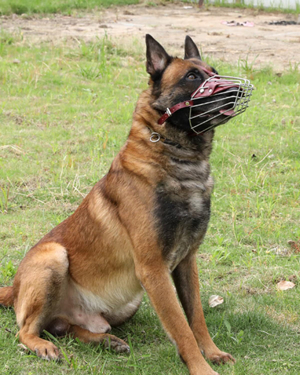 Bntiomtet Dog Muzzle for Large Dogs - Adjustable Leather Straps, Soft Pads, Black, Model: Dog Muzzles, Size: L