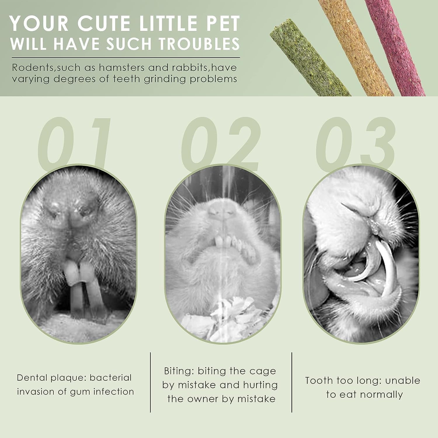 ERKOON Timothy Hay Sticks,Rabbit Chew Toys for Teeth Natural Molar Sticks Rabbits Treats for Bunnies, Chinchilla Guinea Pigs, Ge