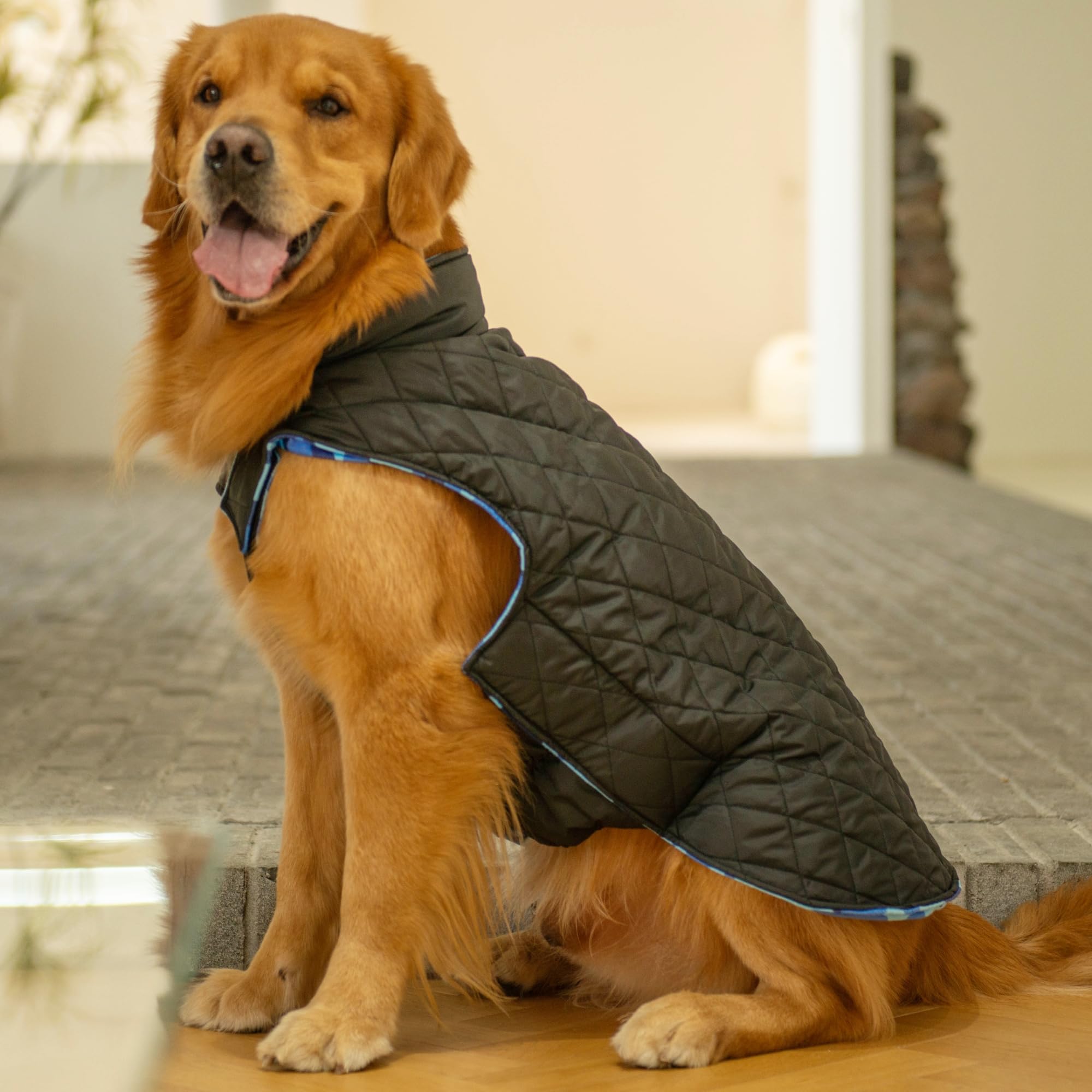 Cutebone Reversible Dog Jacket - Winter Coat, Windproof & Waterproof, Adjustable Vest For Small, Medium, Large Dogs