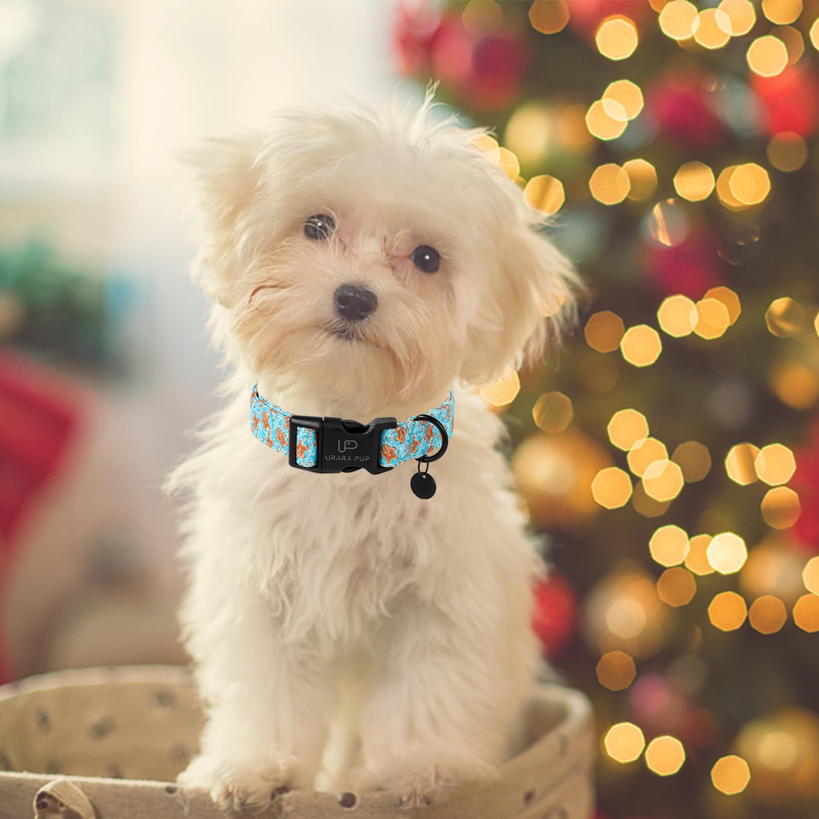 Up Urara Pup Christmas Dog Collar,Adjustable Gingerbread Pet Collar,Chriatmas Puppy Collar For Small Medium Large Dogs,S