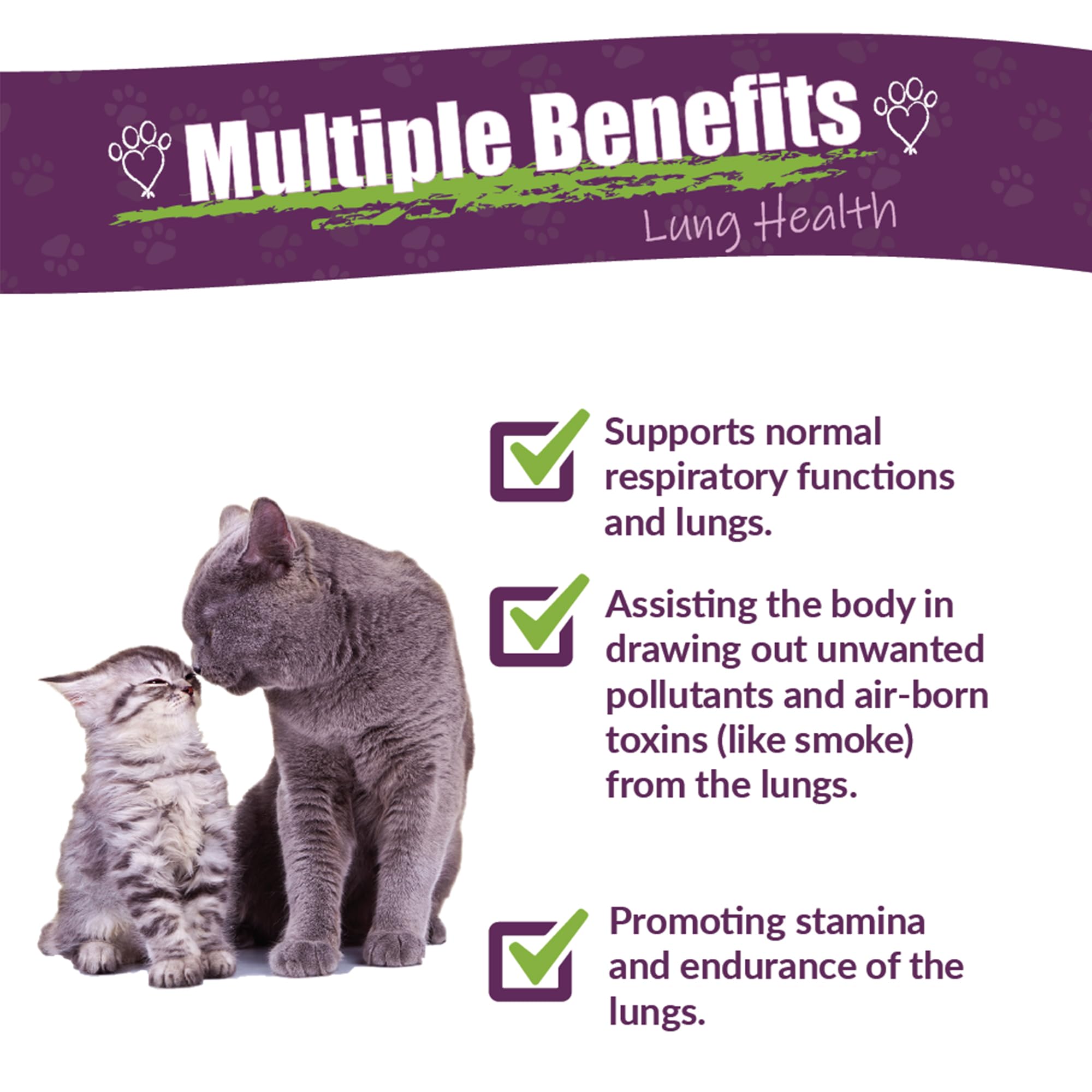Amber NaturalZ Numo Care C Lung Health Herbal Supplement for Cats | Feline Herbal Supplement for Bronchial Support and Respirato
