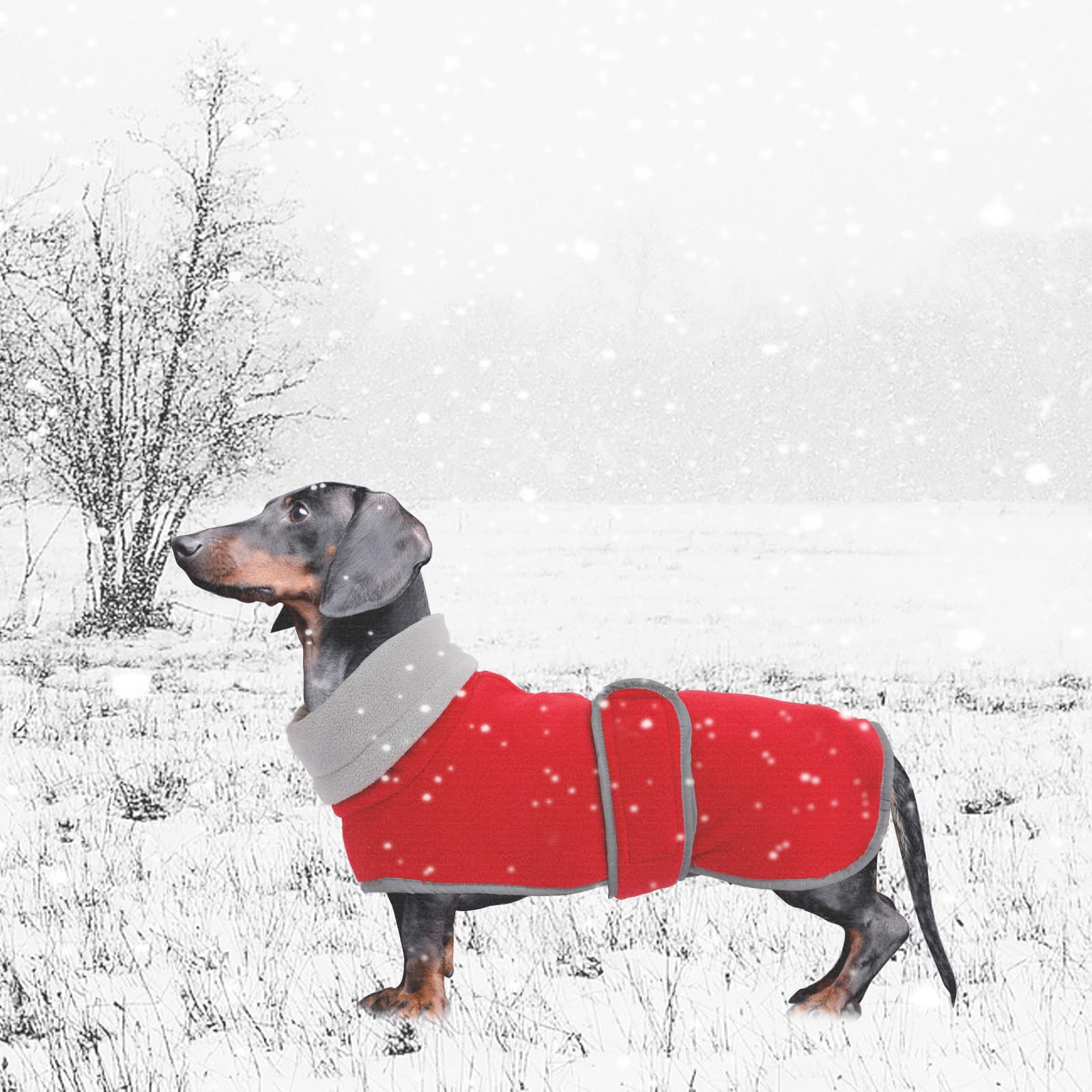 Dog Jacket, Dog Coat Perfect For Dachshunds, Dog Winter Coat With Padded Fleece Lining And High Collar, Dog Snowsuit With Adjustable Bands-Red-L