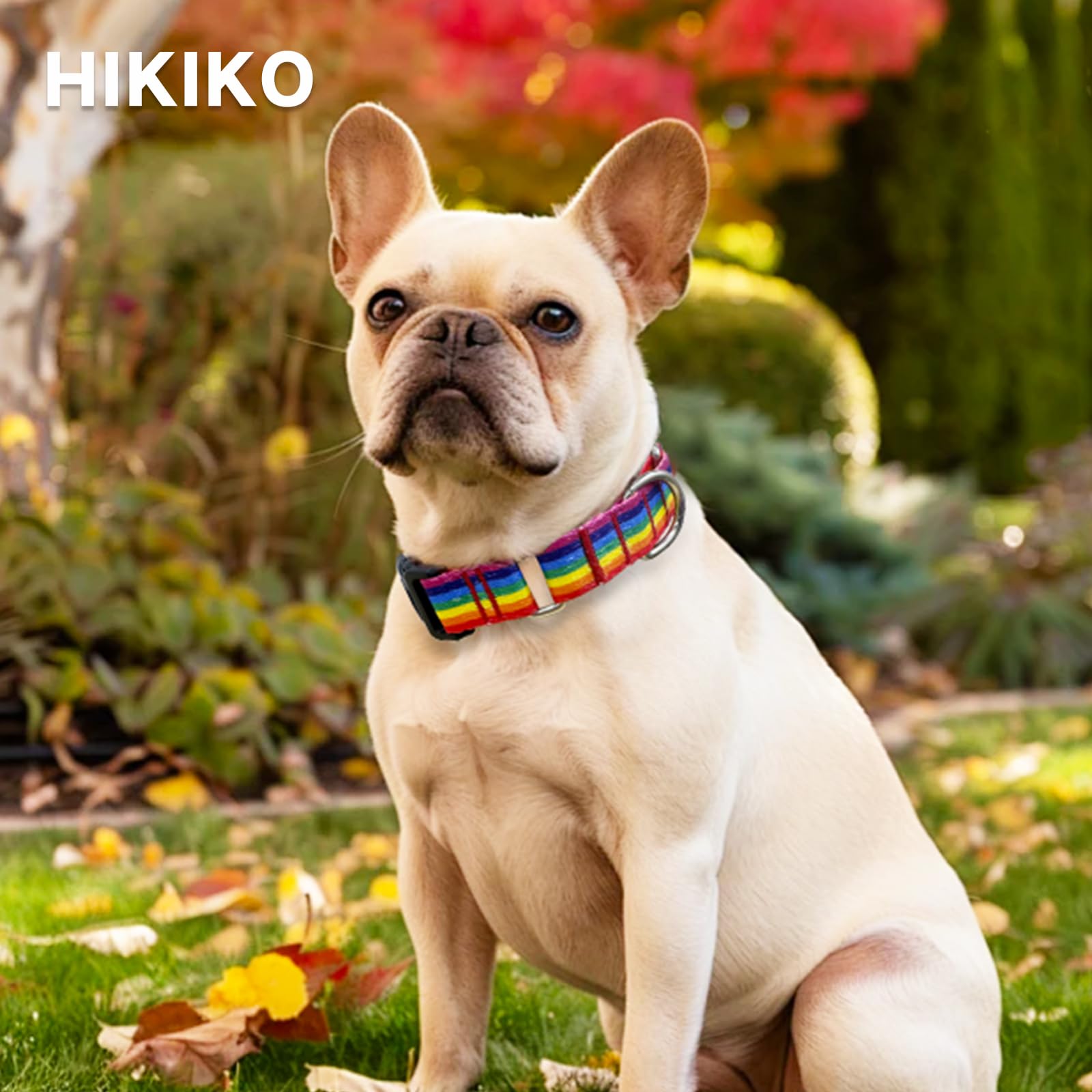 Hikiko Martingale Collar For Dogs Adjustable Soft Nylon Dog Collars With Cute Patterns For Small Medium Large Dog(Rainbow,Medium