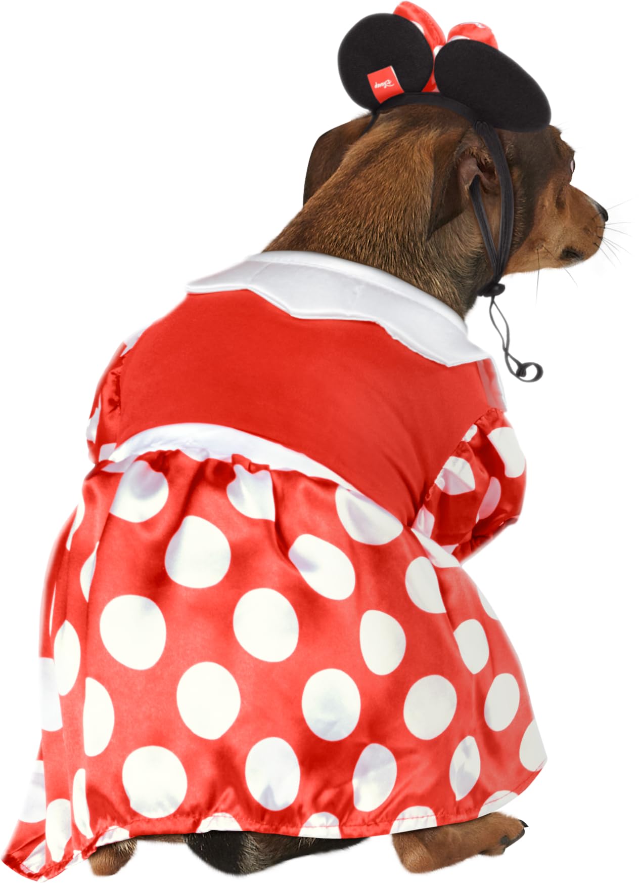 Disney: Minnie Mouse Pet Costume for For Dogs or Cats by Rubies, Small
