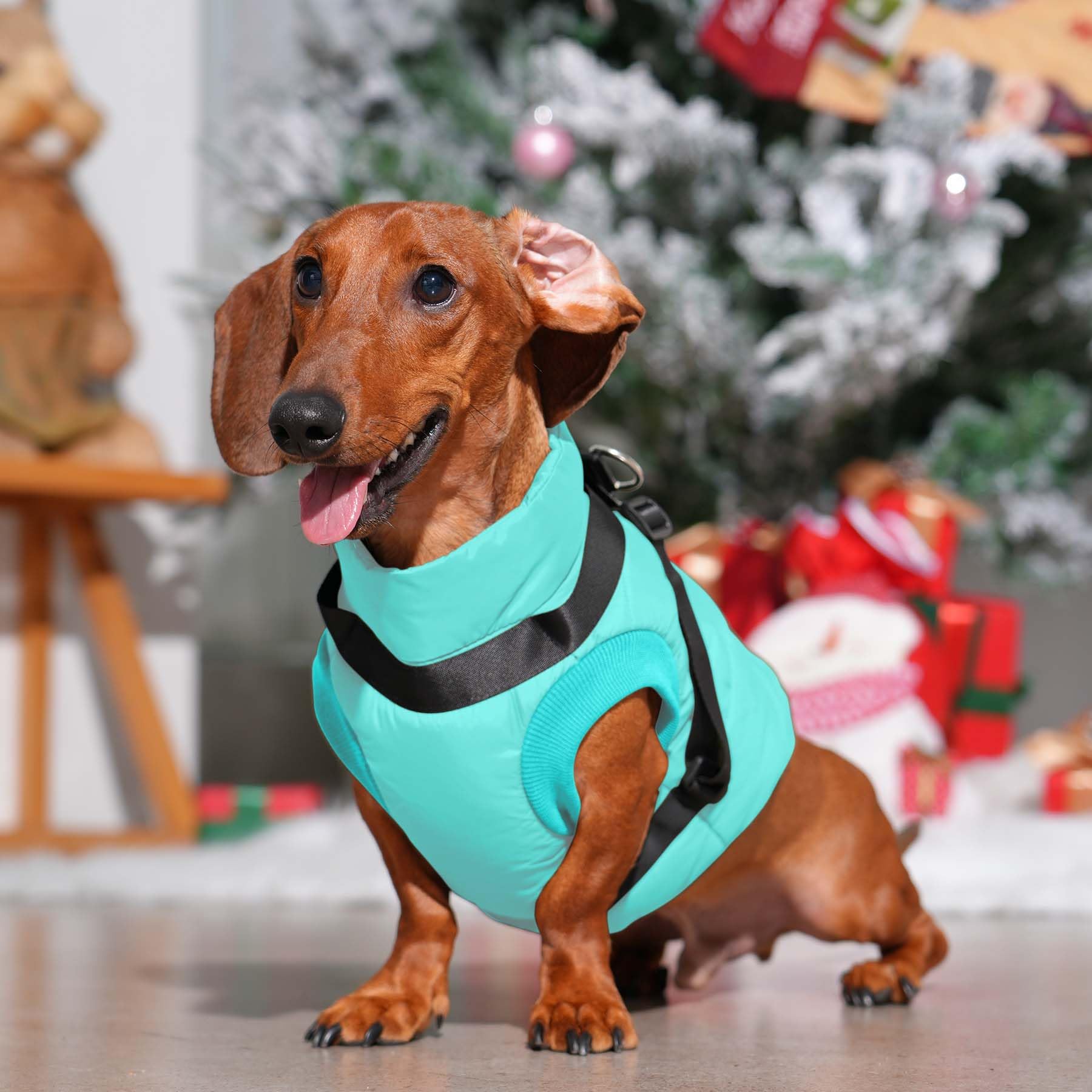 Joydaog Dog Jacket With Harness,Fleece Lined Warm Puppy Coat For Winter,Soft Windproof Medium Dog Vest,Bluegreen L