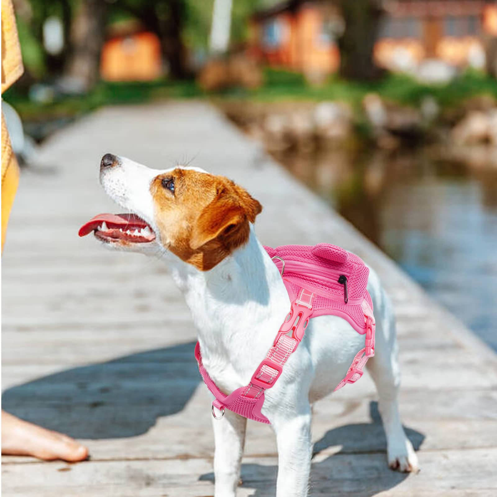 Idomik Dog Backpack Harness, No-Pull Dog Backpack With D-Ring For Small Medium Dogs, Cute Self Carrier Backpack For Dogs To Wear, Adjustable Dog Harness Backpack For Traveling Camping Hiking,Pig,M
