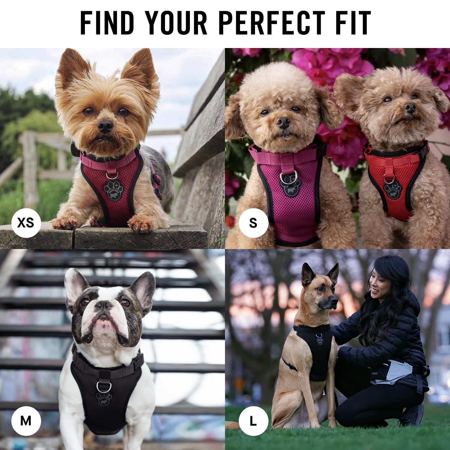 Canada Pooch Everything No Pull Dog Harness - Easy Walk Harness For Dogs With Breathable Mesh Exterior, Adjustable Dog Walking Harness Great For Dogs Reflective/M