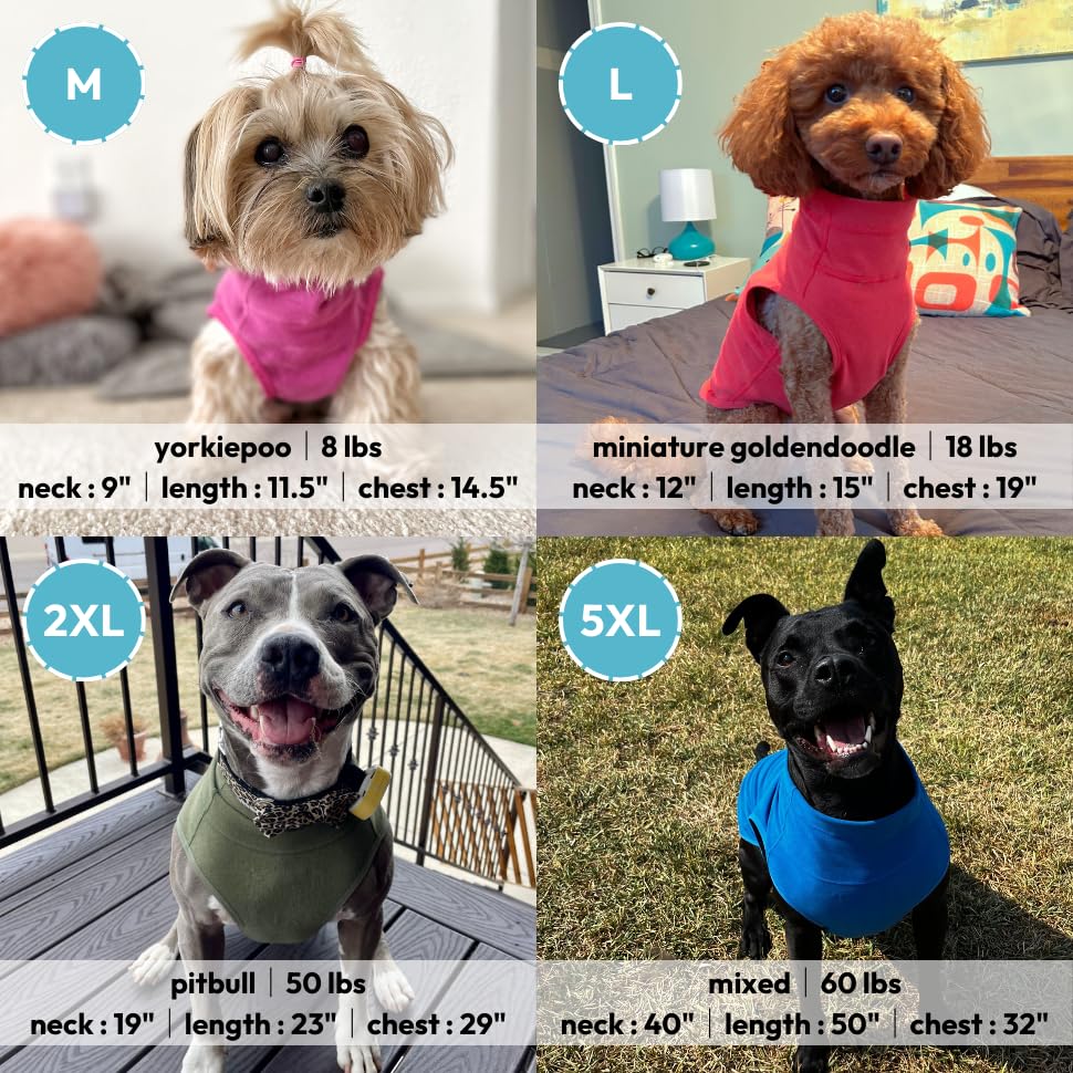 Gooby Microfiber Stretch Fleece Vest Dog Jacket - Blue, Medium - Warm Pullover Dog Clothes For Small Dogs - Boys & Girls