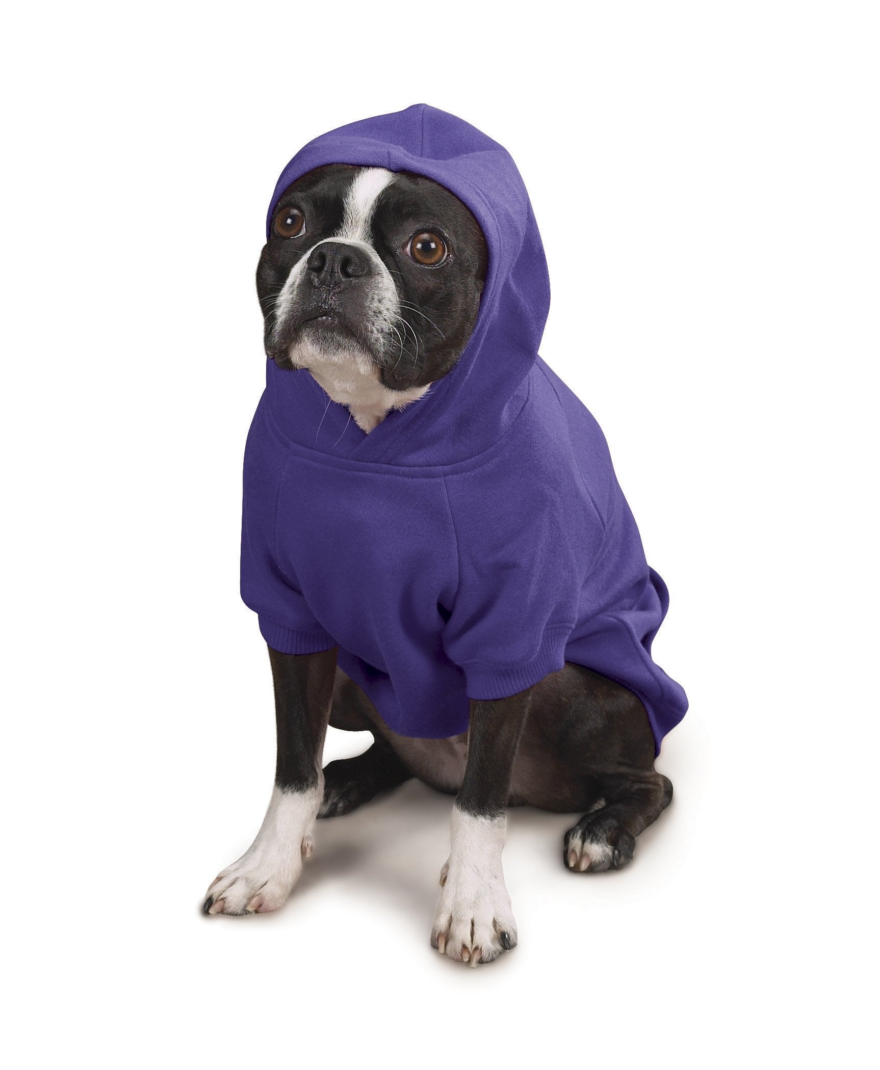 Zack & Zoey Basic Hoodie For Dogs, 12' Small, Ultra Violet