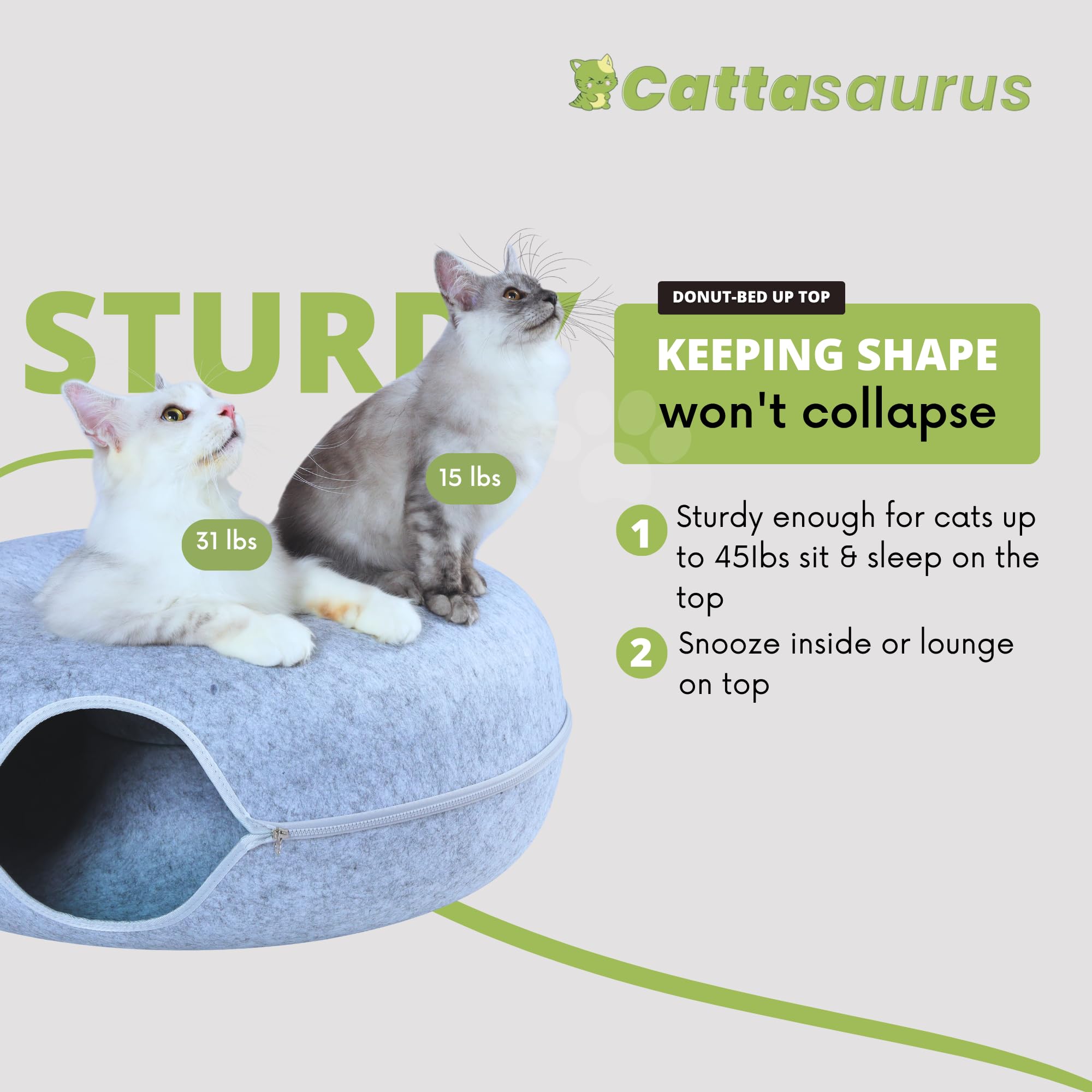 Cattasaurus Peekaboo Cat Cave, Extra Spacious For Multiple & Large Cats 12+ Lbs, Scratch Detachable Cat Beds For Indoor Cats, Wa