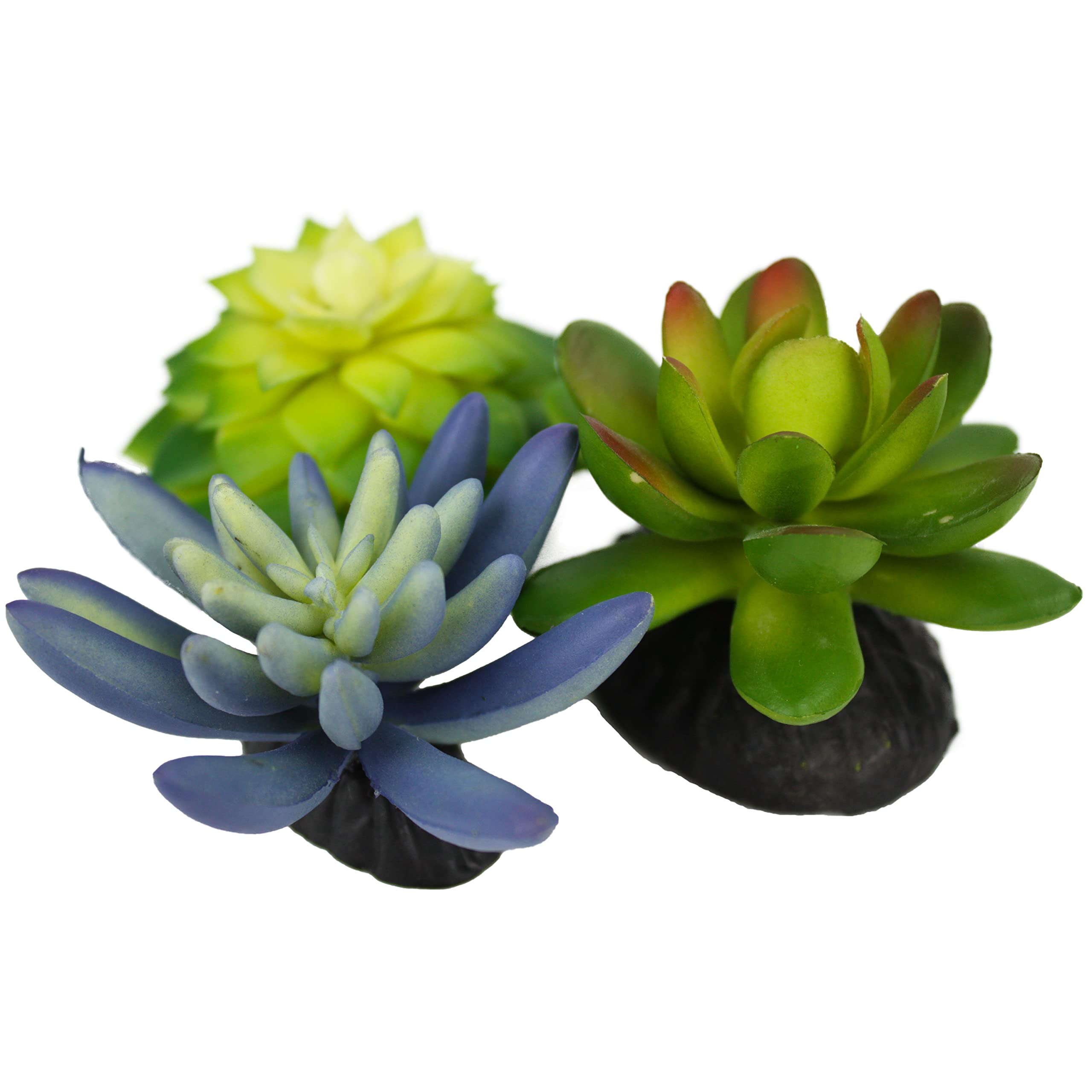 Komodo Reptile Terrarium Succulent 3Pk Blue/Green Plants | Natural Looking Artificial Aquarium Ornament & Habitat Decoration Acc