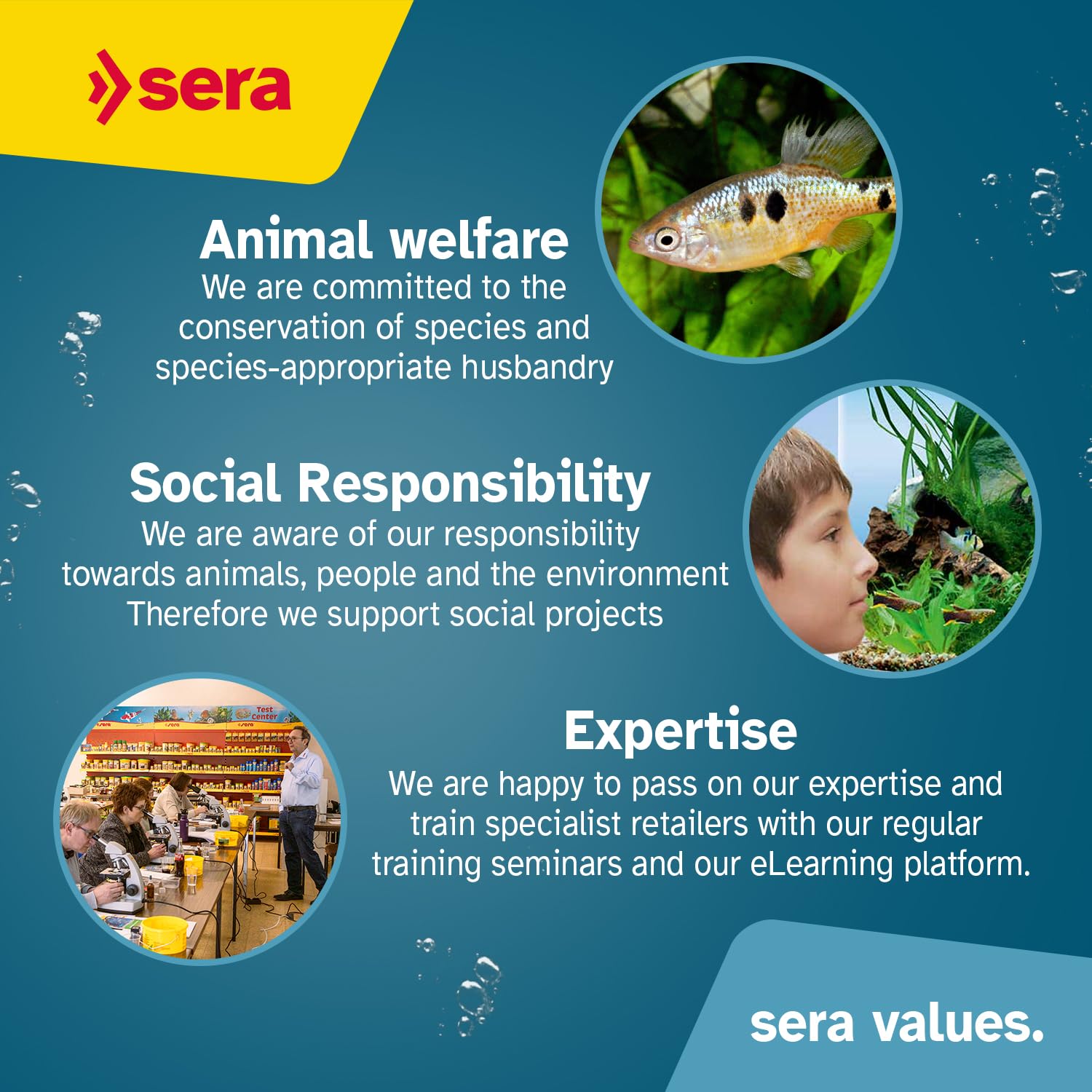 Sera Filter Wool | Mechanical Pre-Filter For Enhanced Aquarium Water Clarity | Reusable & Eco-Friendly | Compatible With All Filters | For Fresh & Saltwater Tanks | Easy Maintenance | High Capacity