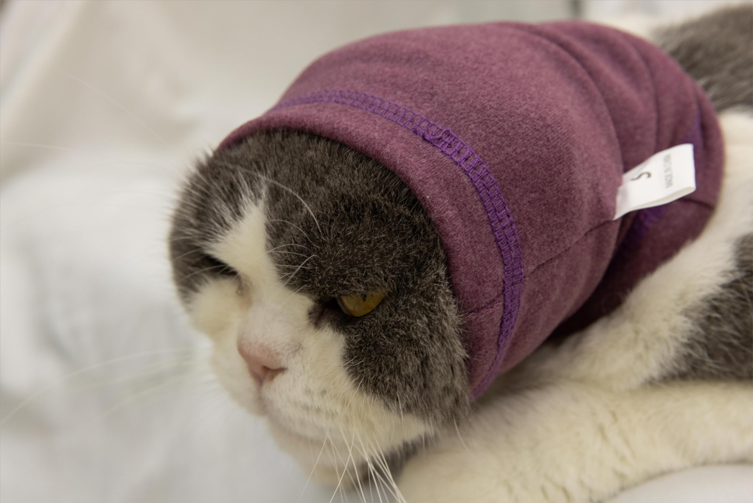 DDFS Cat Snood Cover Noise Cancelling Ear Wrap Neck Cat Head Cover Ear Wrap for Baths Pail Lilac S