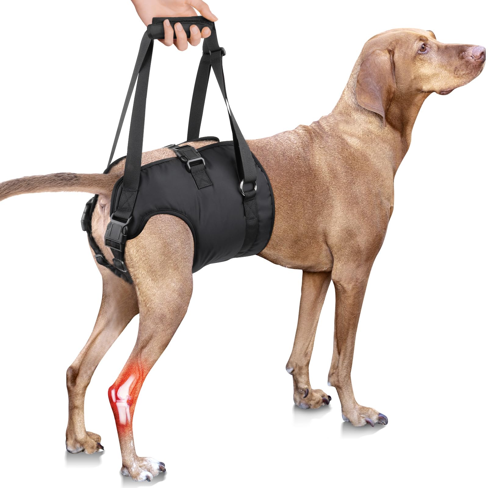 PZRLit Dog Lift Harness - Adjustable Sling Support for Large Dogs Hind Legs, Mobility Aid for Elderly Dogs - Hip & Back Leg Join