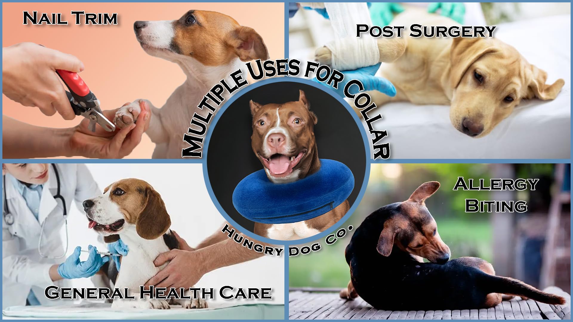 Hungry Dog Co.- Premium Inflatable Dog Collar for Dogs and Cats - Helps in Pet Recovery - Comfortable and Safe for Your Pet - So