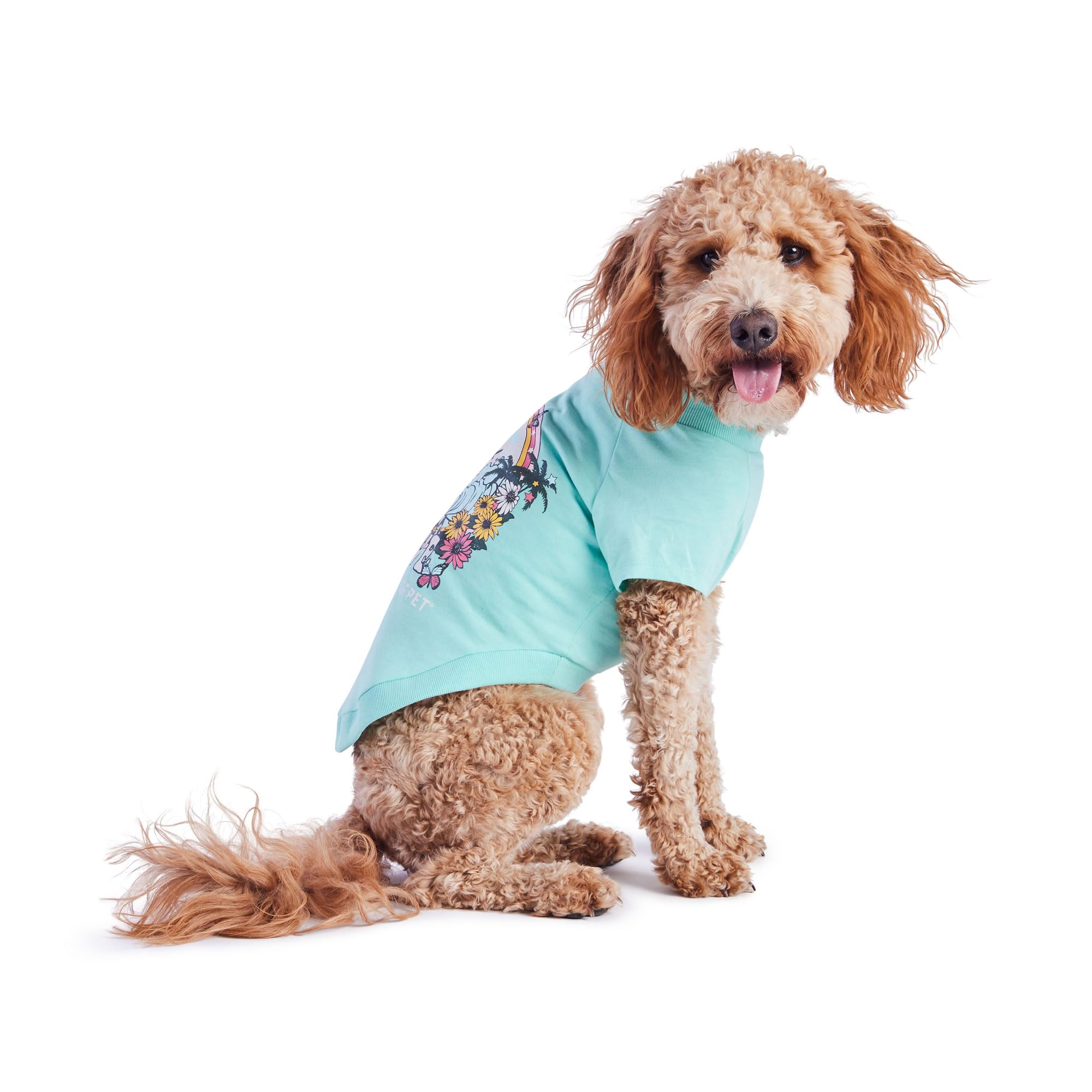 Gf Pet - Graphic Tee Dog T-Shirt (Heather Aqua, Small)