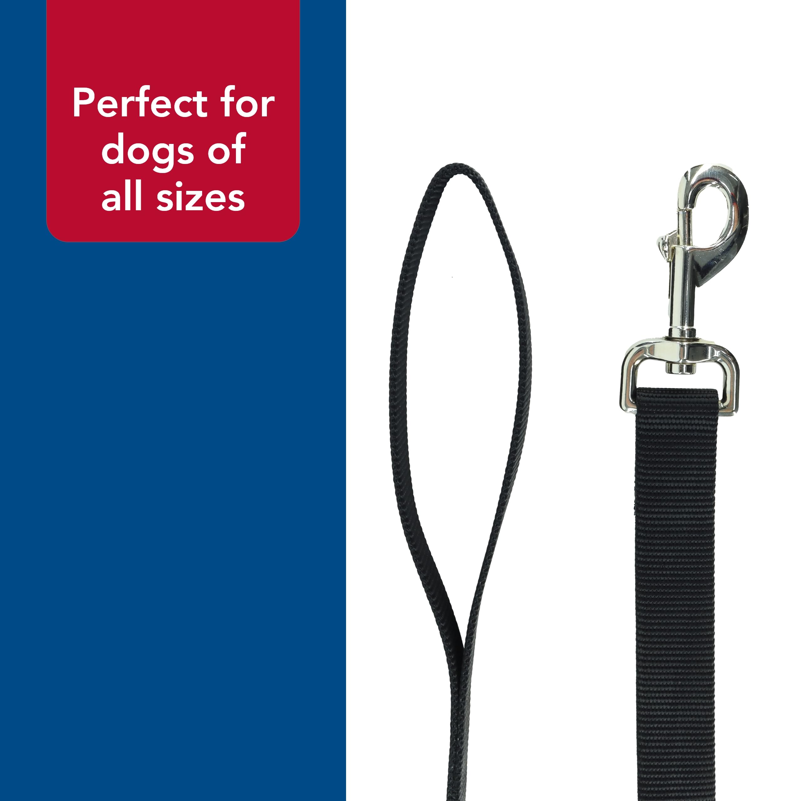 Coastal Pet Products Dcp406Pur Nylon Collar Lead For Pets, 5/8-Inch By 6-Feet, Purple