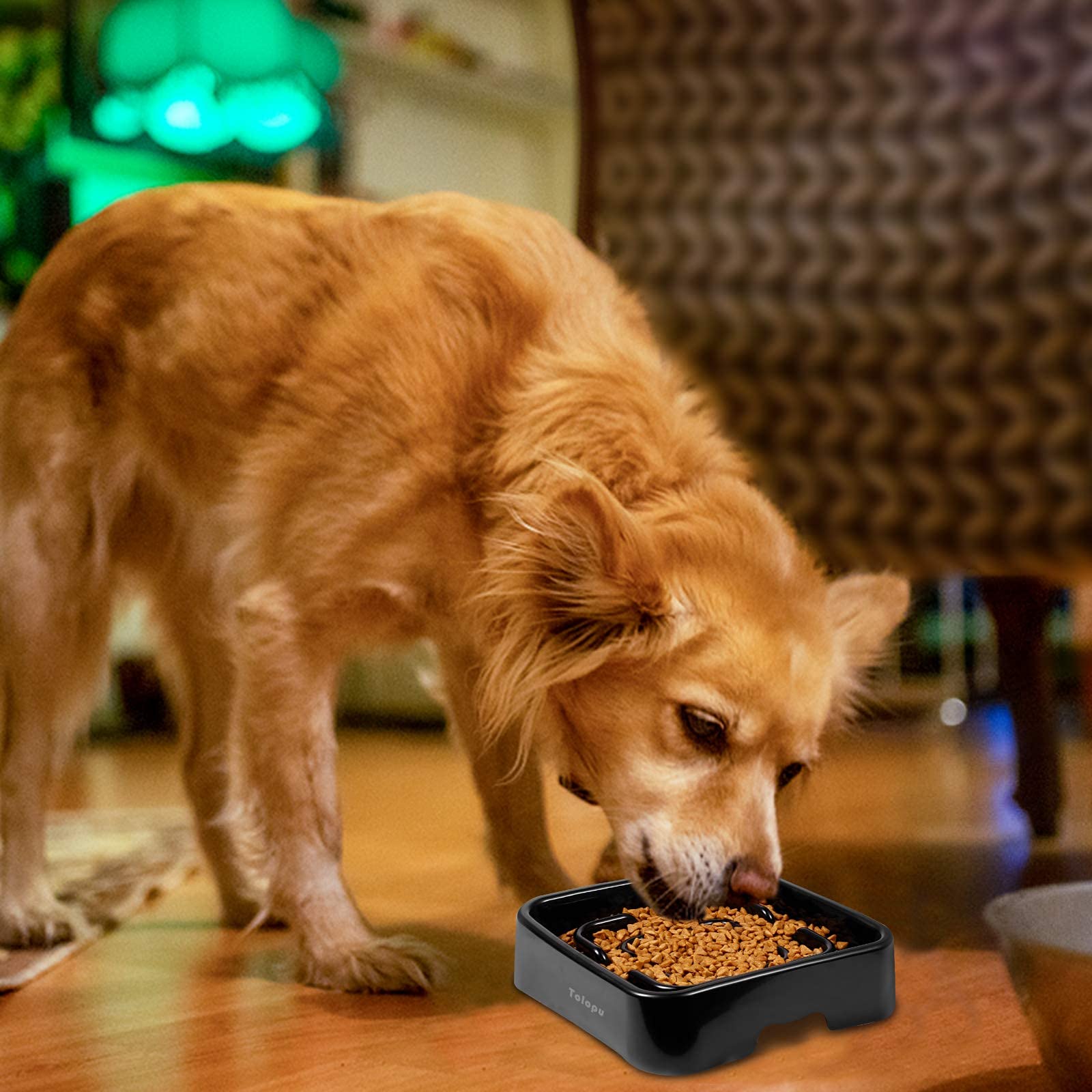 Tolopu Extra-Large Durable ABS Large Slow Feeder Dog Bowls(10 Cups Capacity) Stop Bloat Bowl Anti-Choking &Anti-Gulping & Fun Fe