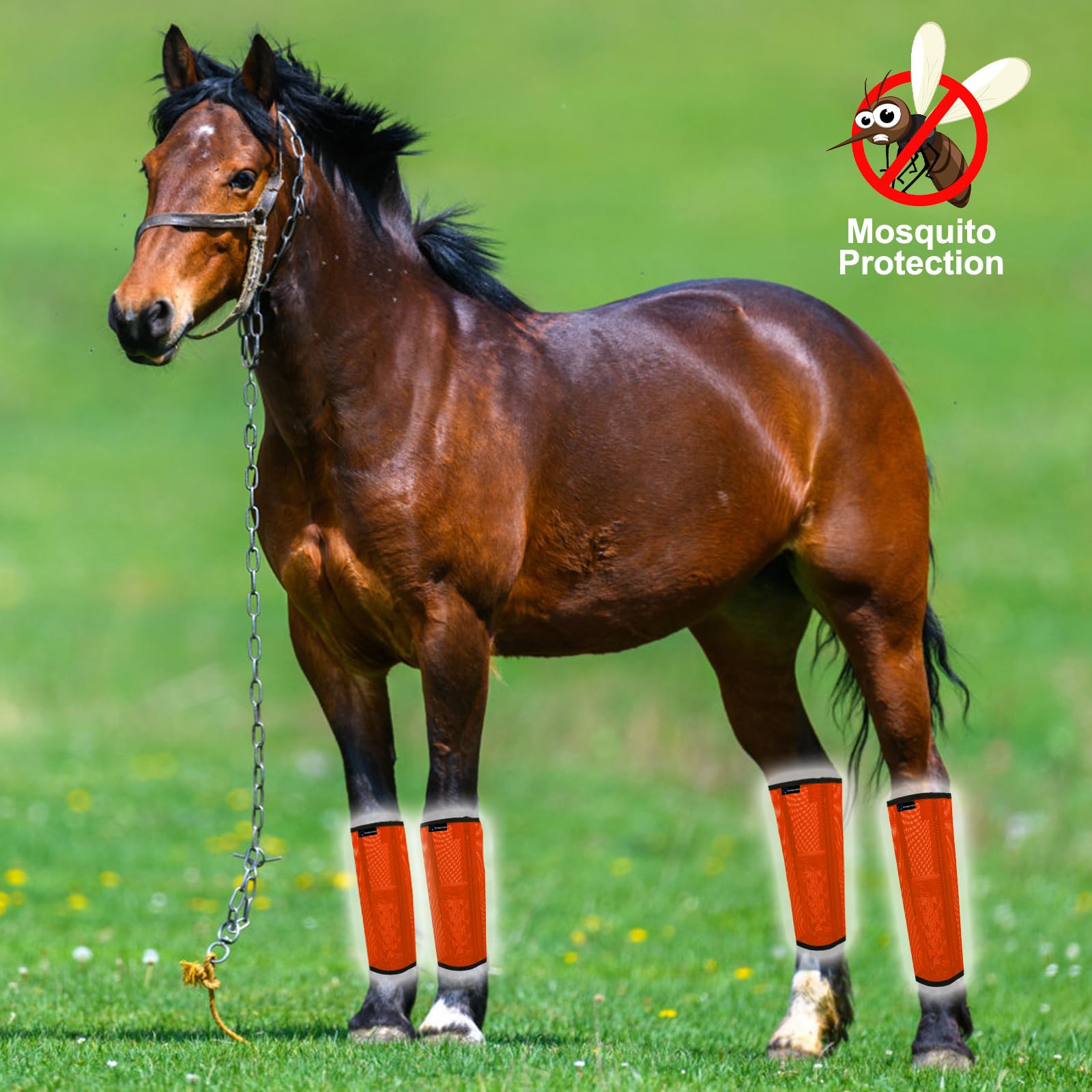 FOXLVDA Horse Fly Boots Set of 4, Mesh Material, Medium Orange, Model FOX-H01, Reduces Stomping & Leg Fatigue