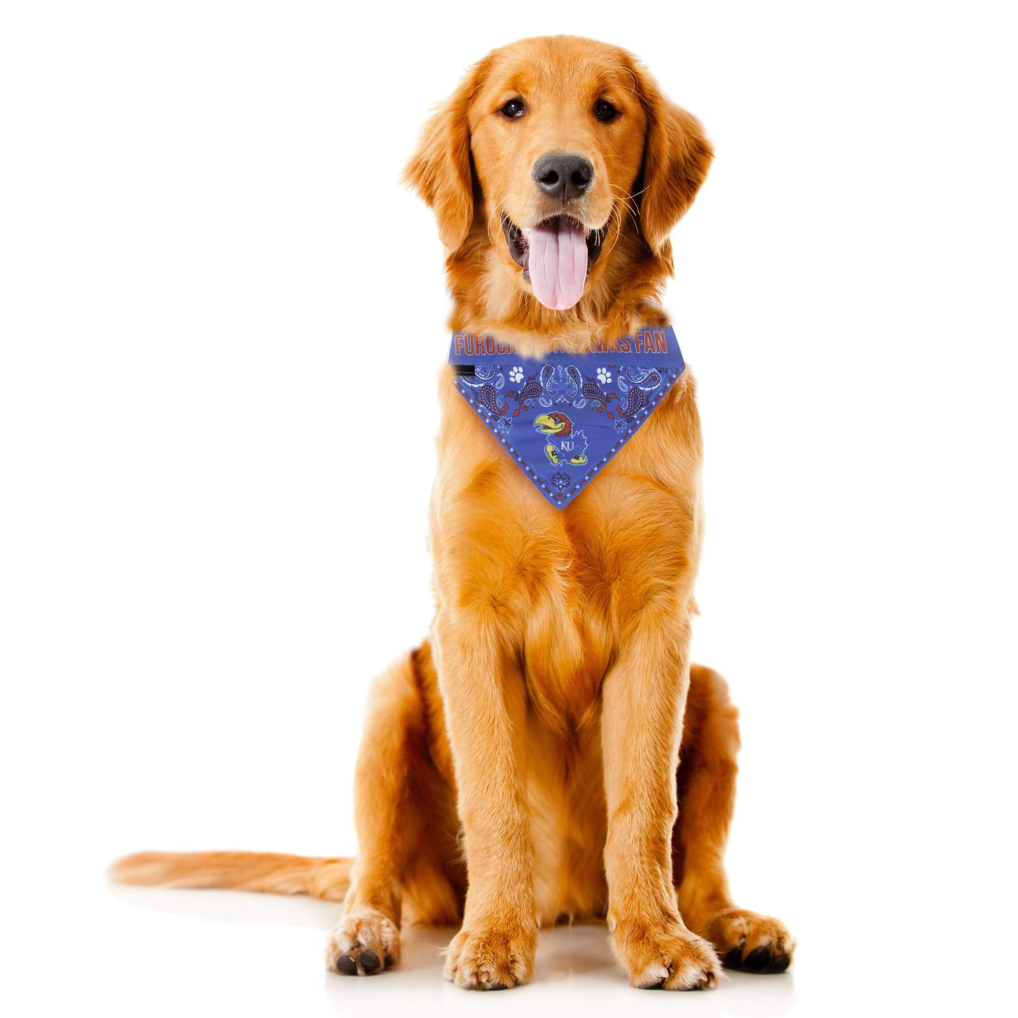 Littlearth Unisex-Adult Ncaa Kansas Jayhawks Pet Bandana, Team Color, X-Small