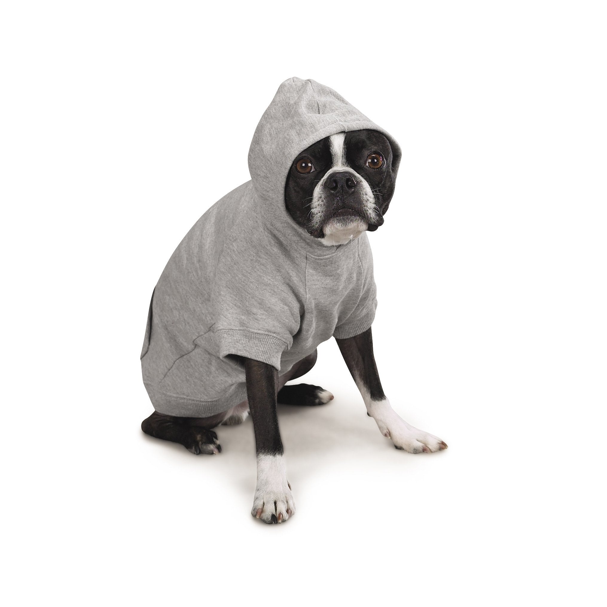 Zack & Zoey Basic Hoodie For Dogs, 12' Small, Heather Gray