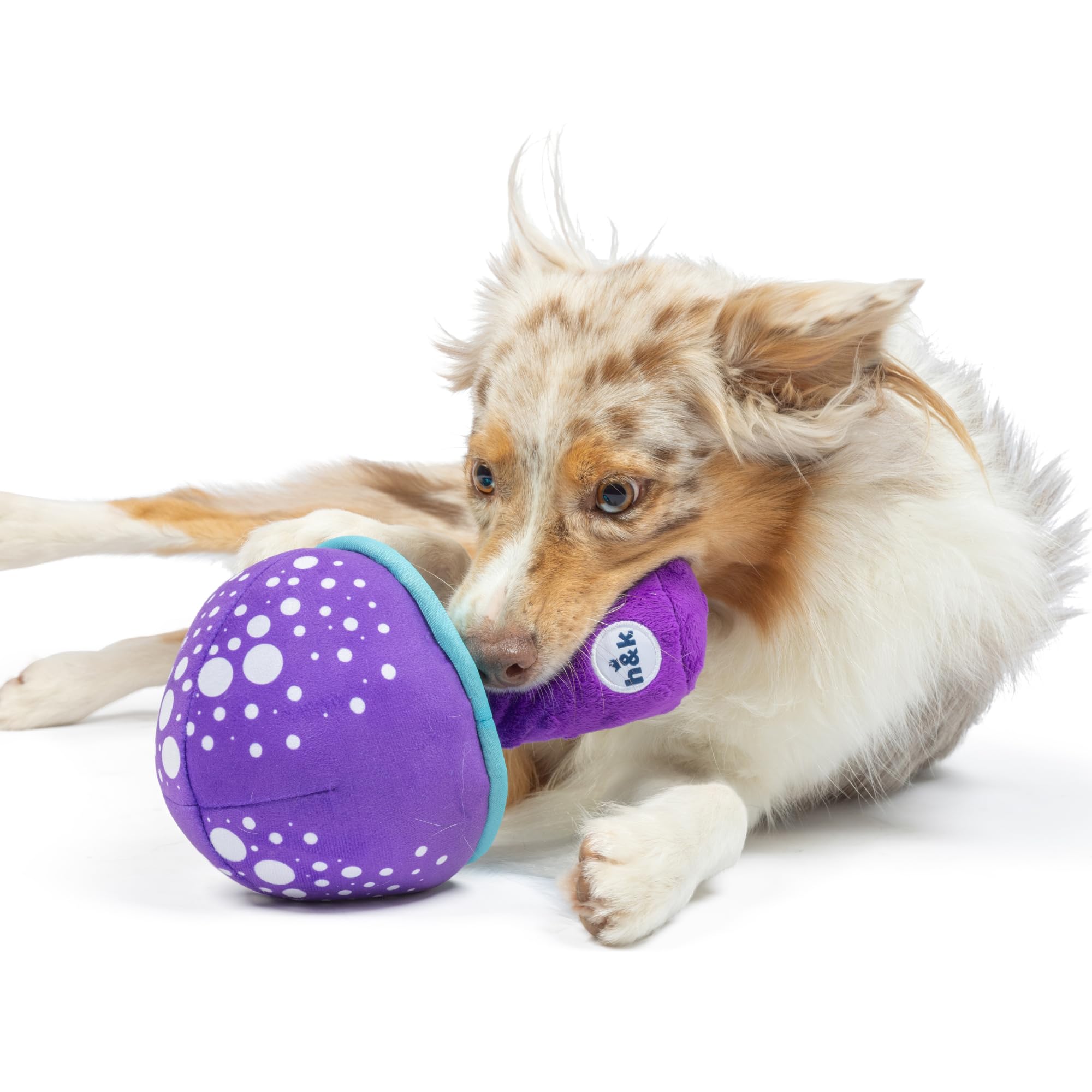 Huxley & Kent For Dogs | Mellow Mushroom (Small) | Funny Dog Toy | Power Plush Dog Toy With Squeaker | Dog Gift | Fun, Durable |
