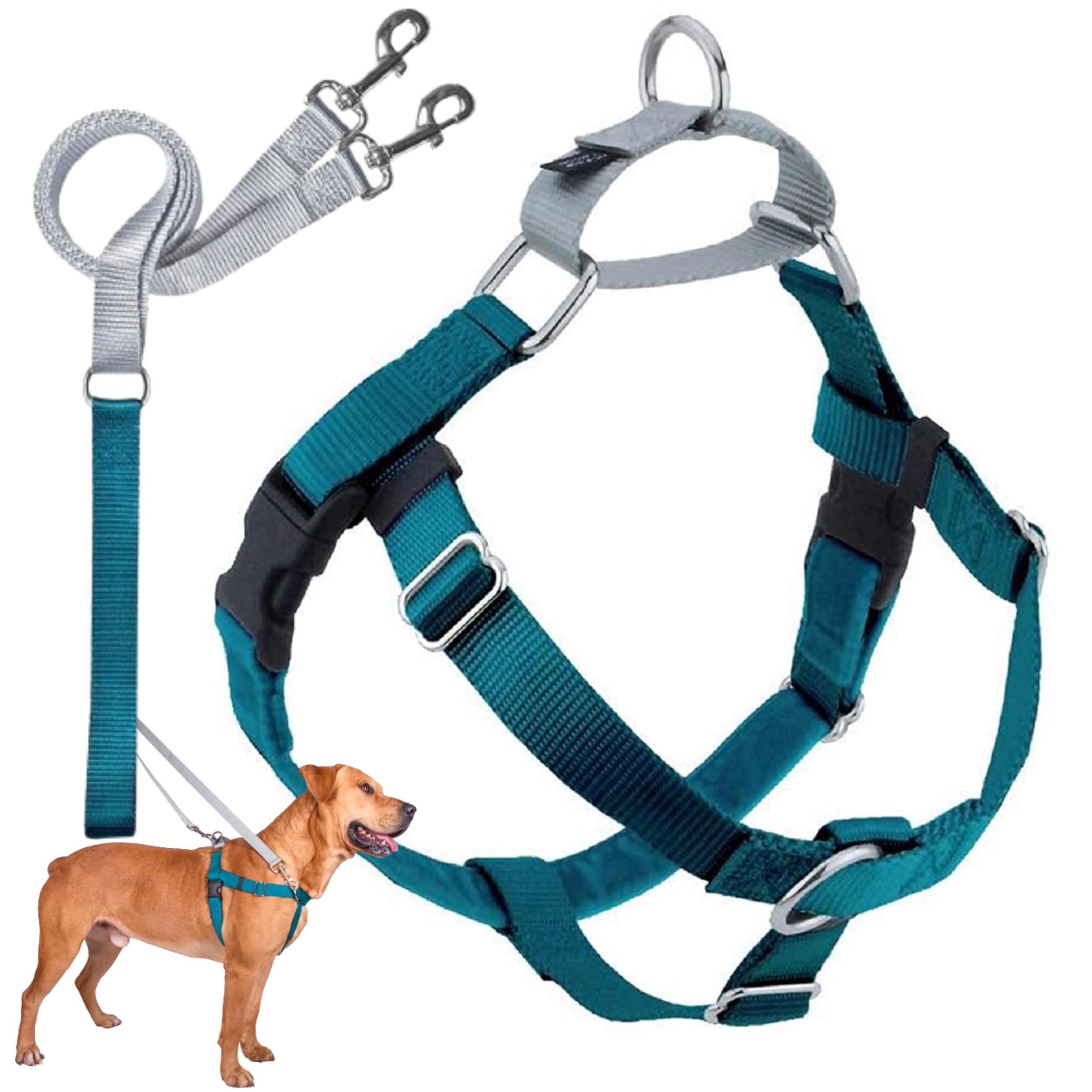 2 Hounds Design Freedom No Pull Dog Harness, Adjustable Harness And Leash Set, Easy Walking & Comfortable Control, Fits Small, Medium & Large Dogs, Solid Colors, Made In Usa, 5/8' Md, Teal