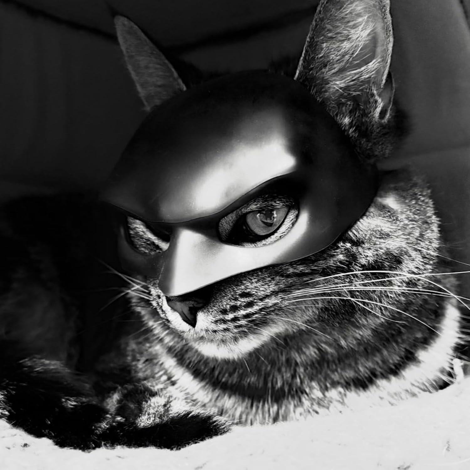 Cat Mask Cosplay, Cat Cosplay Hat, Cat Mask For Halloween Cosplay, Funny Cat Costumes Accessories (Large)