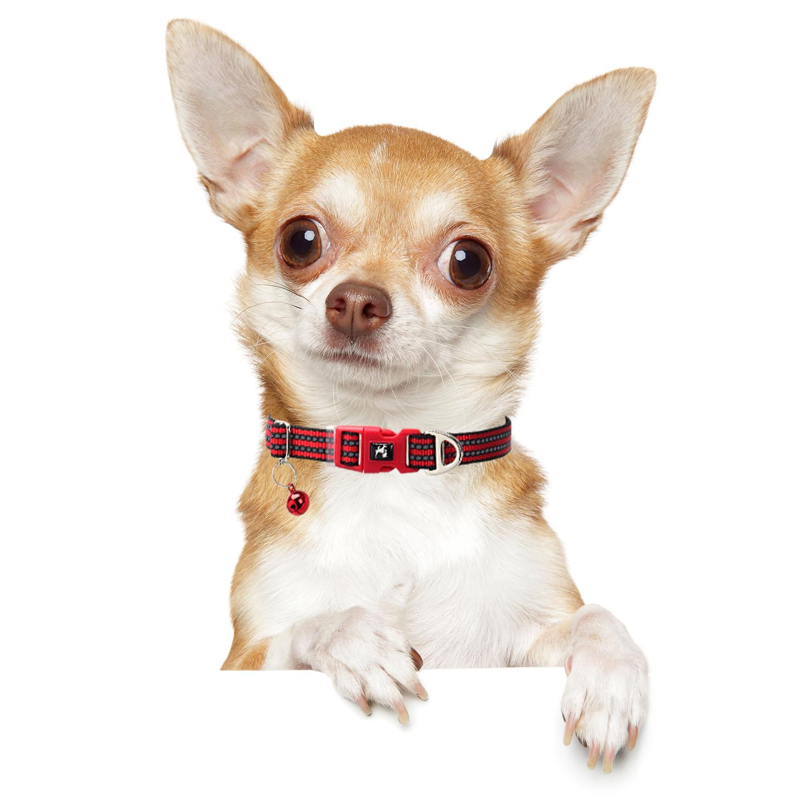 Onefojojo Adjustable Puppy Collar With Bell - Reflective Nylon Dog Collar For Small Breeds, Chihuahua Pomeranian, Nighttime Safe