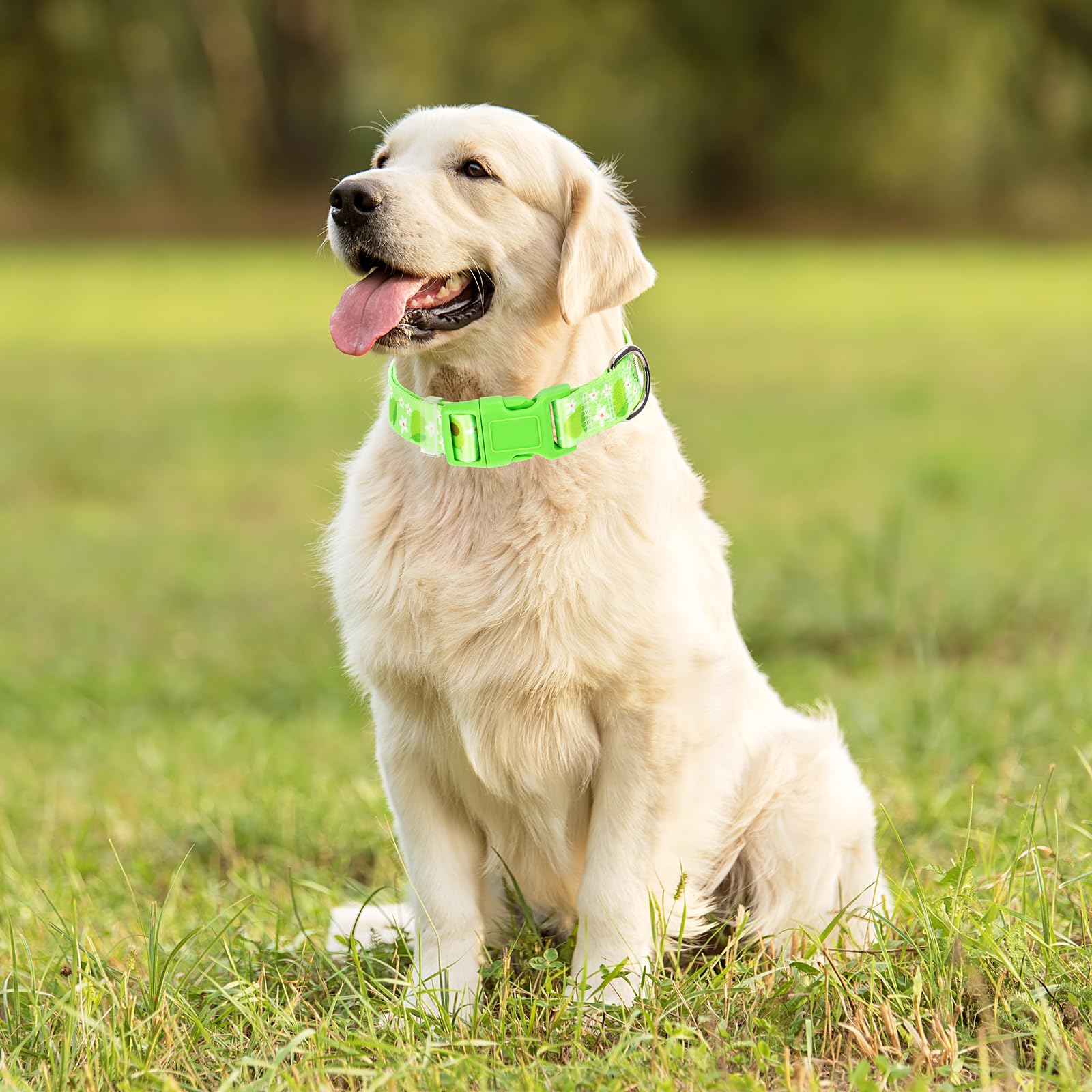 Onefojojo Dog Collar - Cute Green Avocado Design, Soft Nylon Adjustable Quick-Release Buckle, Durable Pet Collar For Boy And Gir