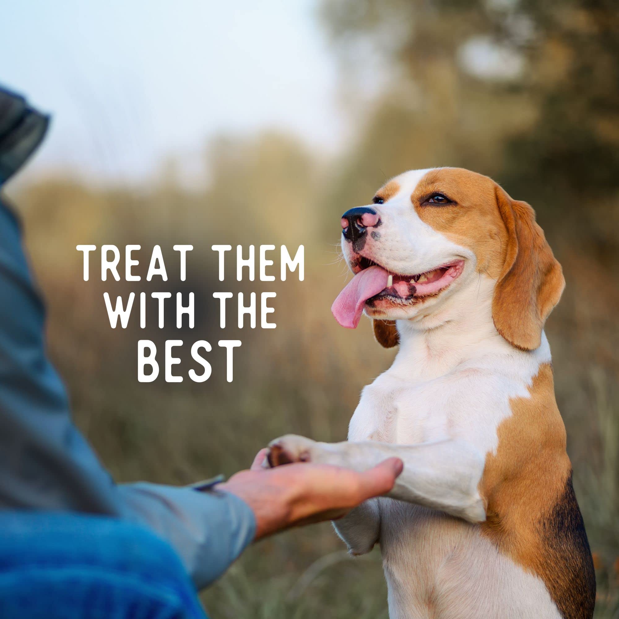 Beg & Barker Turkey Chips for Dogs (8 Ounce, Pack of 1) - Single Ingredient Dog Treats Made for Large & Small Dogs Protein Human